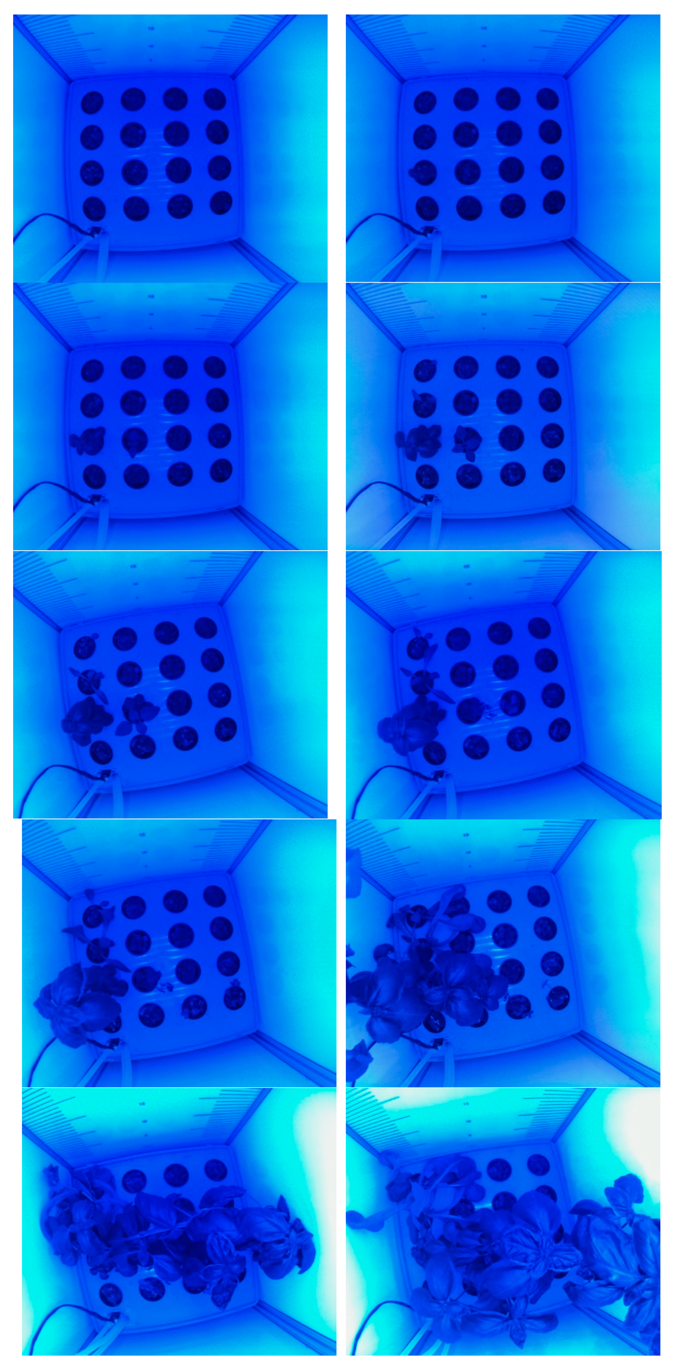 Applsci 12 05539 g015