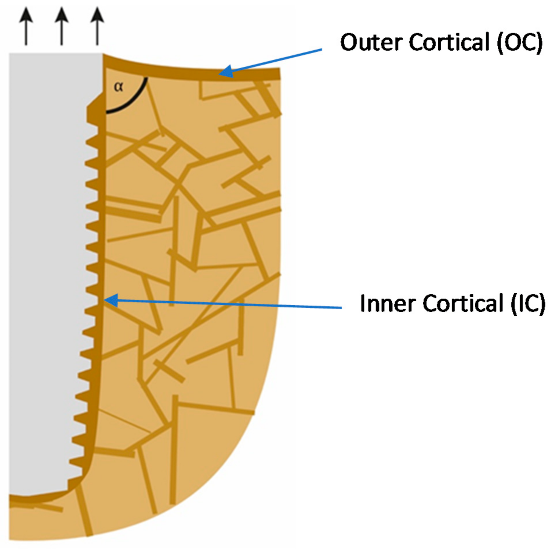 Applsci 12 05589 g001