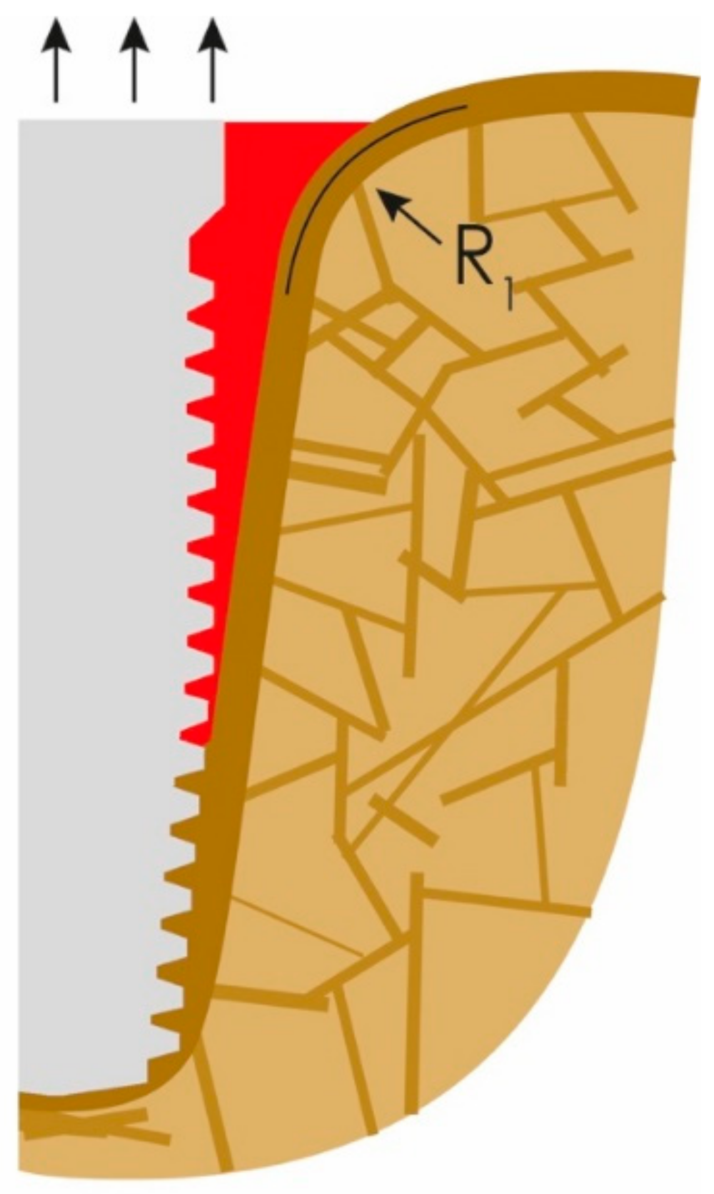 Applsci 12 05589 g003