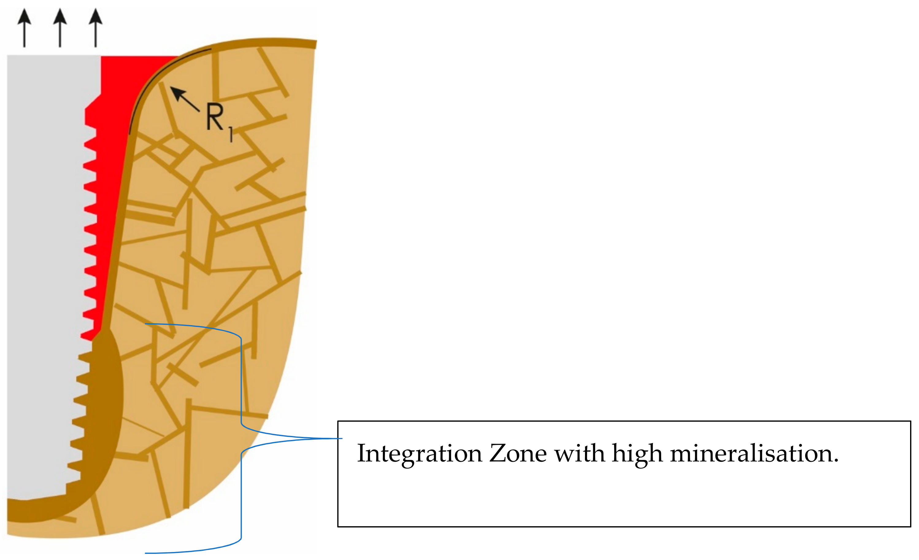 Applsci 12 05589 g004