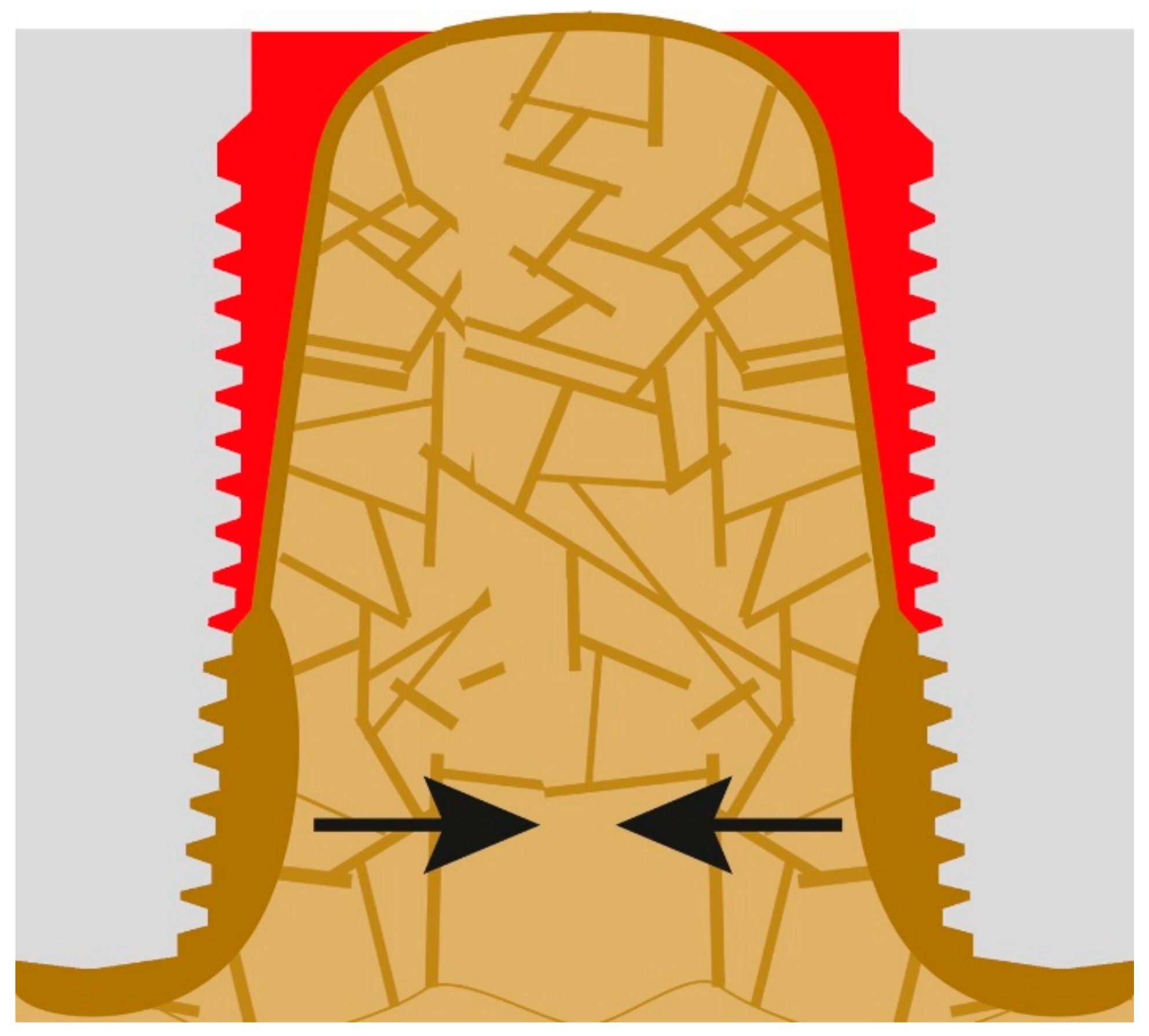 Applsci 12 05589 g006