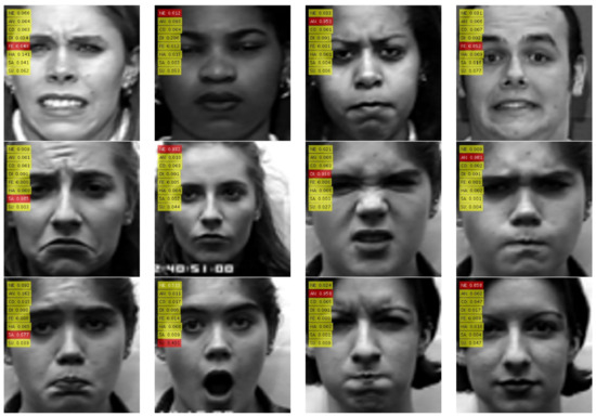 Applsci 12 05637 g003b 550