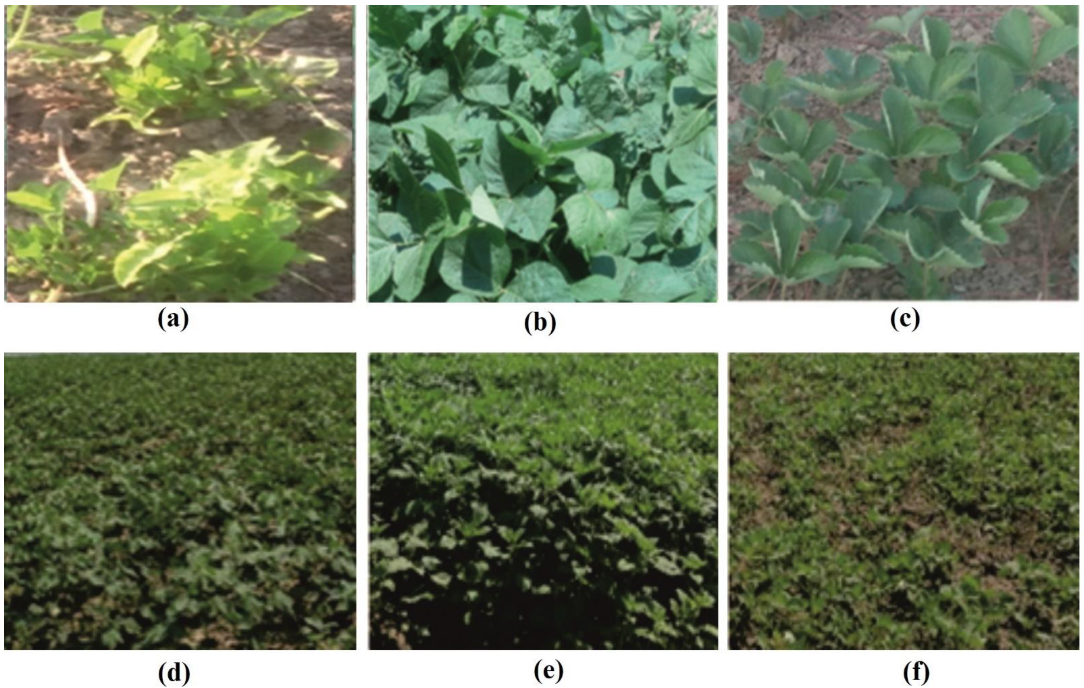 Applsci 12 05650 g002