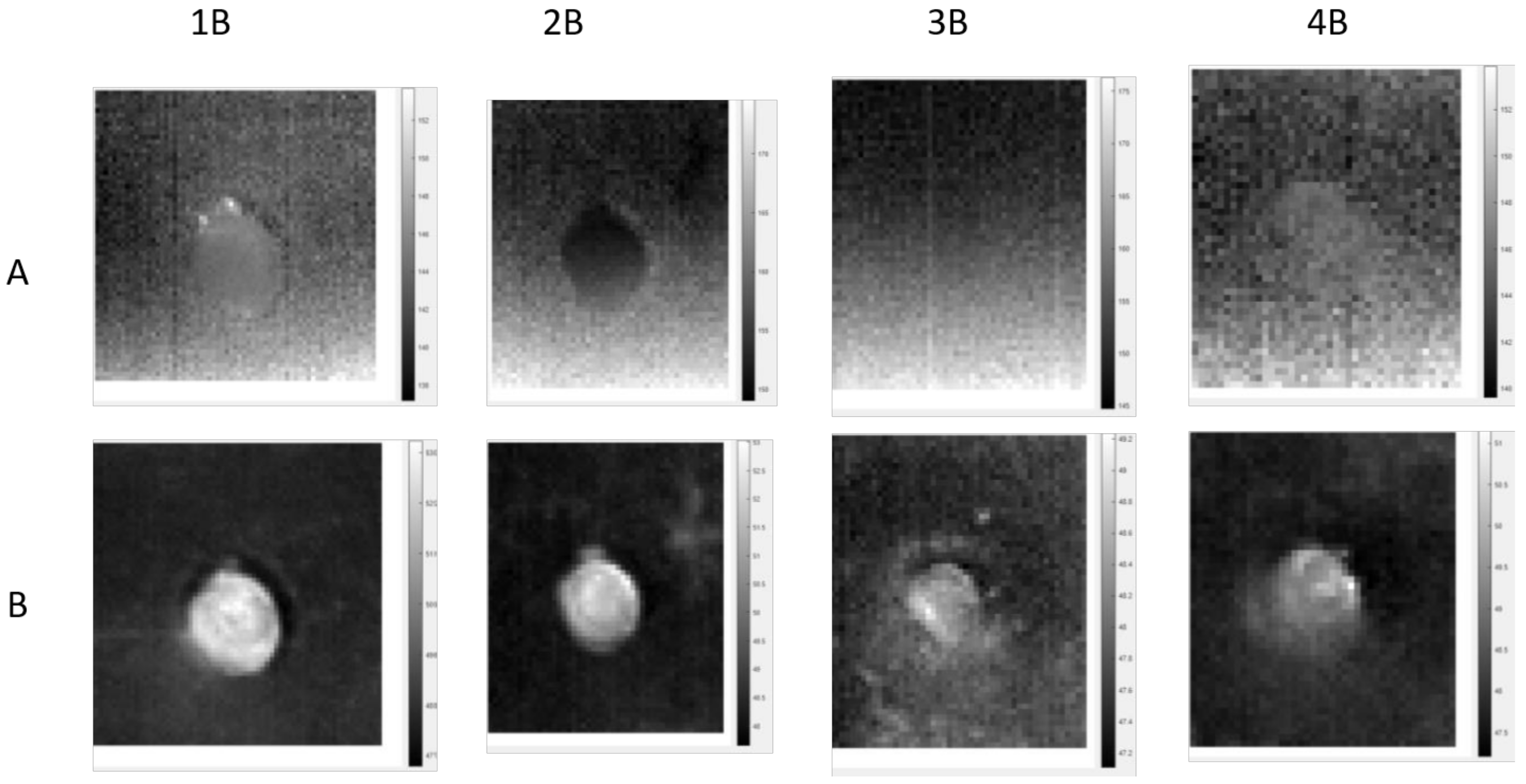 Applsci 12 05668 g012