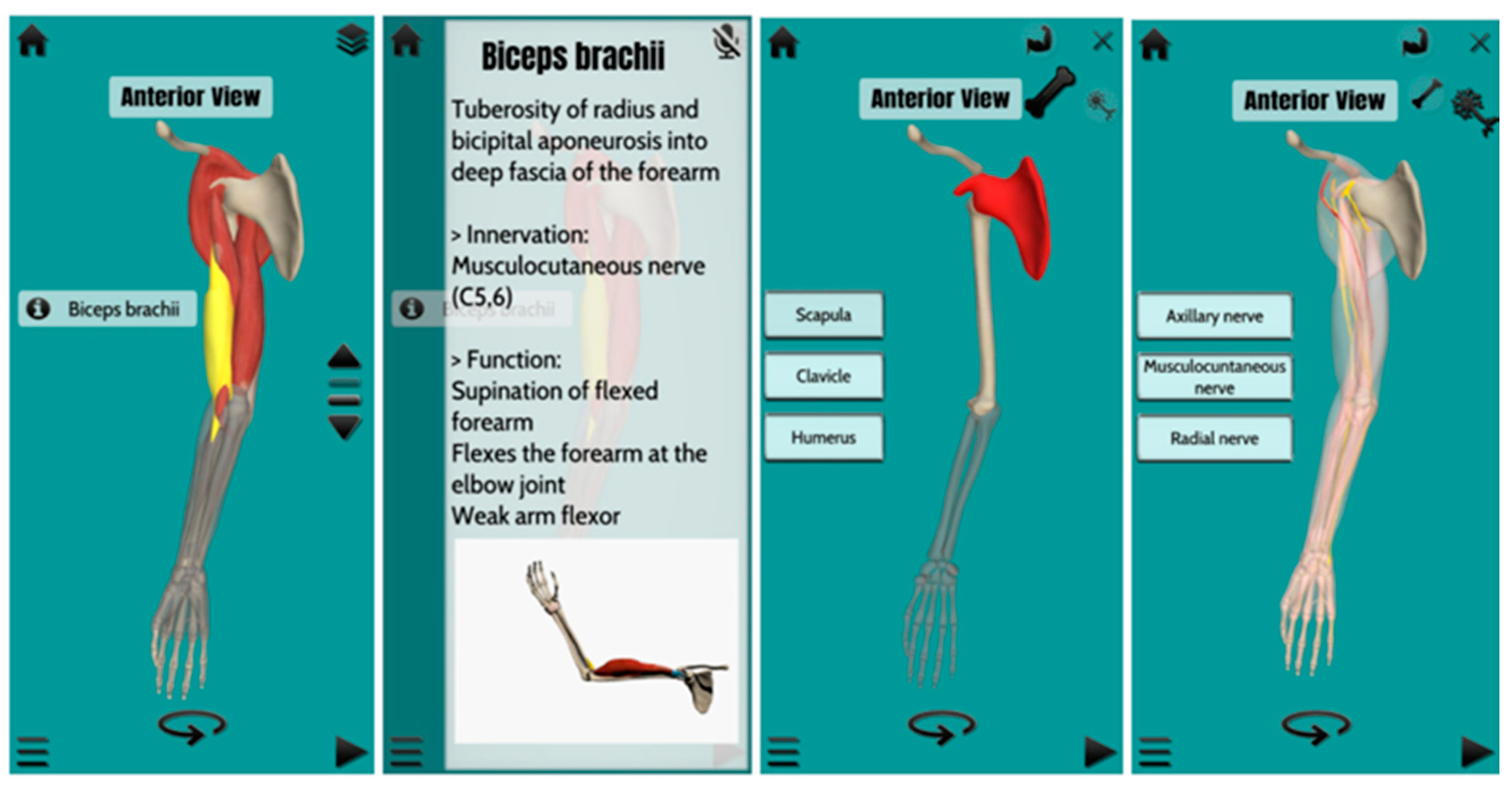 Applsci 12 05694 g005