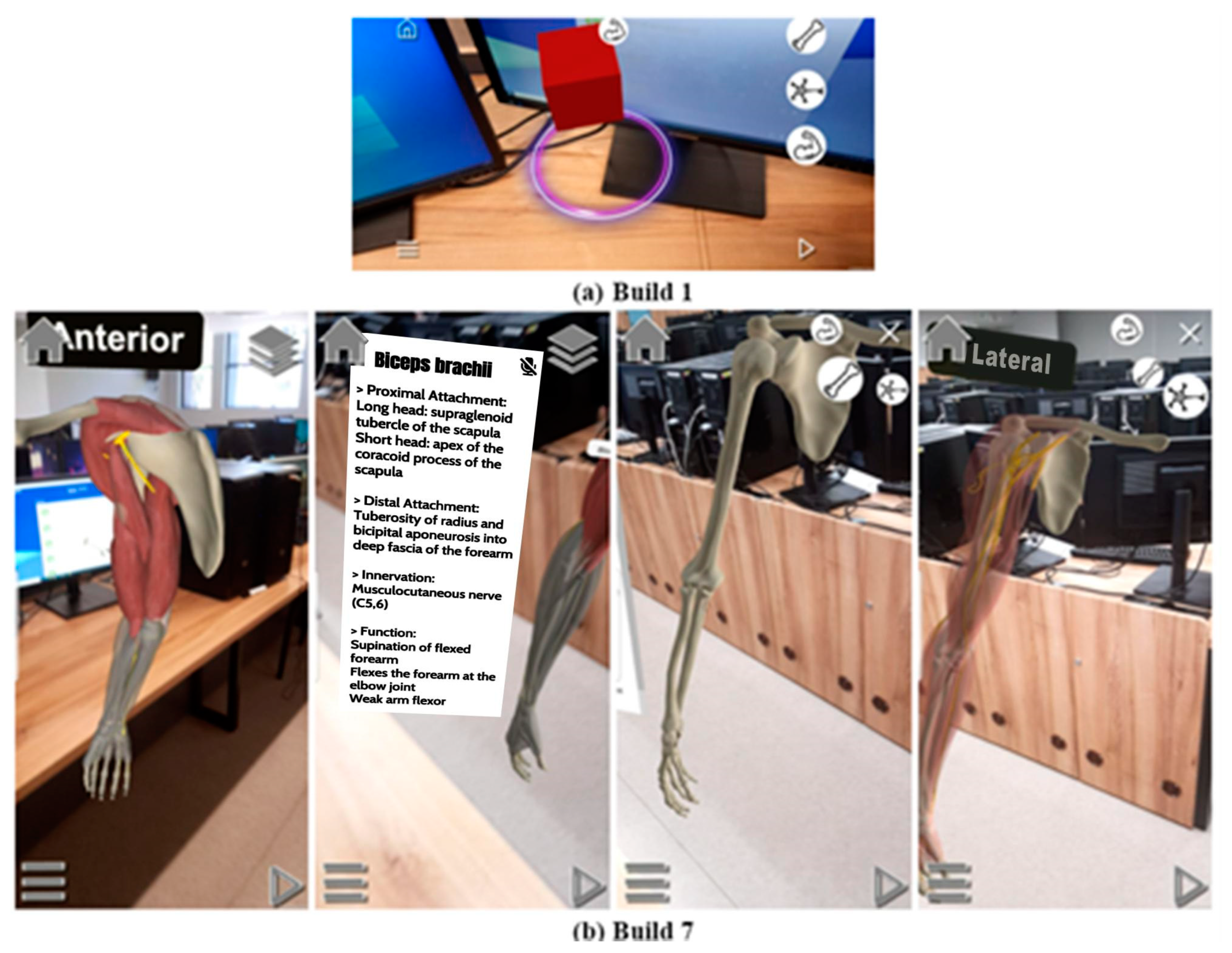 Applsci 12 05694 g007