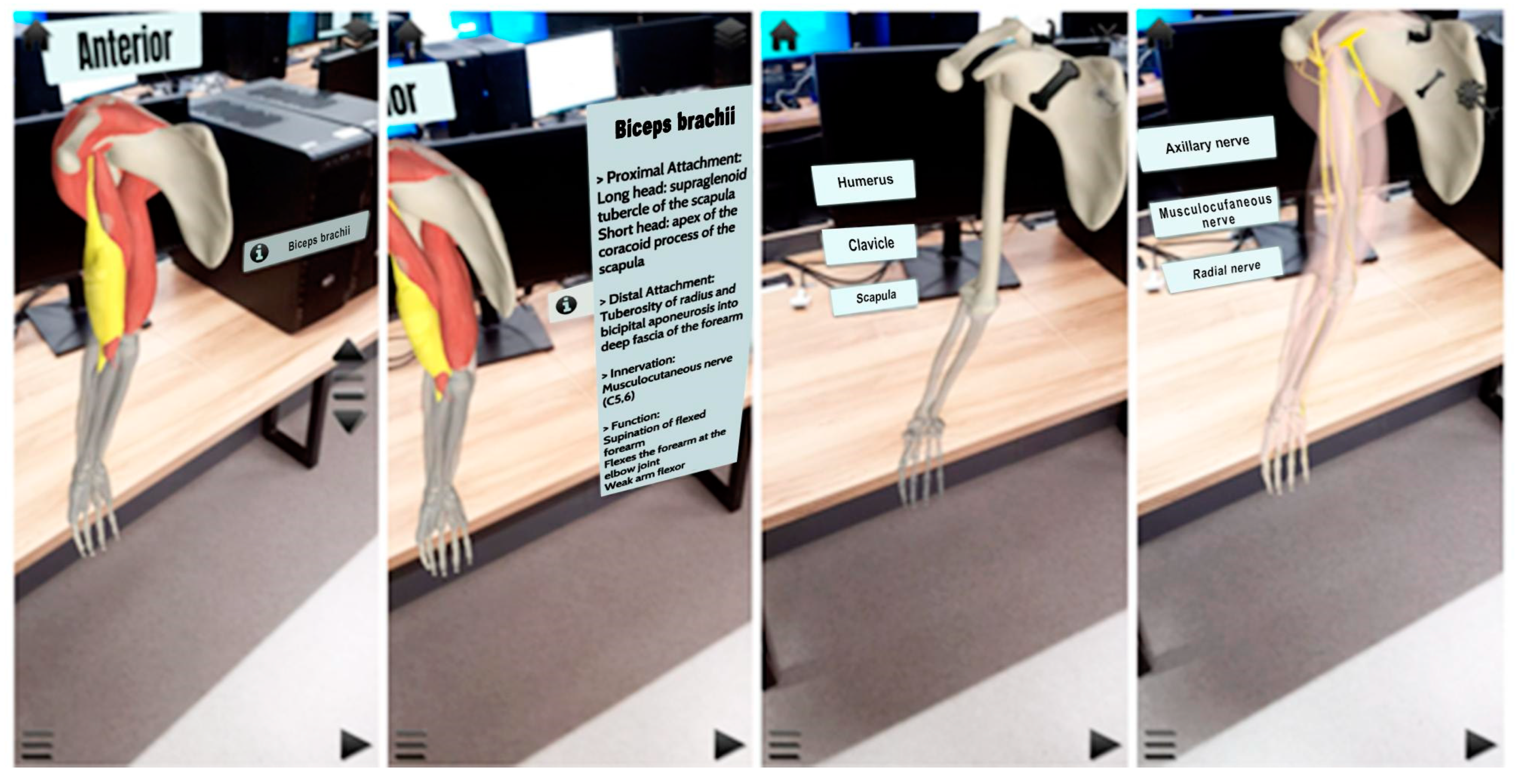 Applsci 12 05694 g008