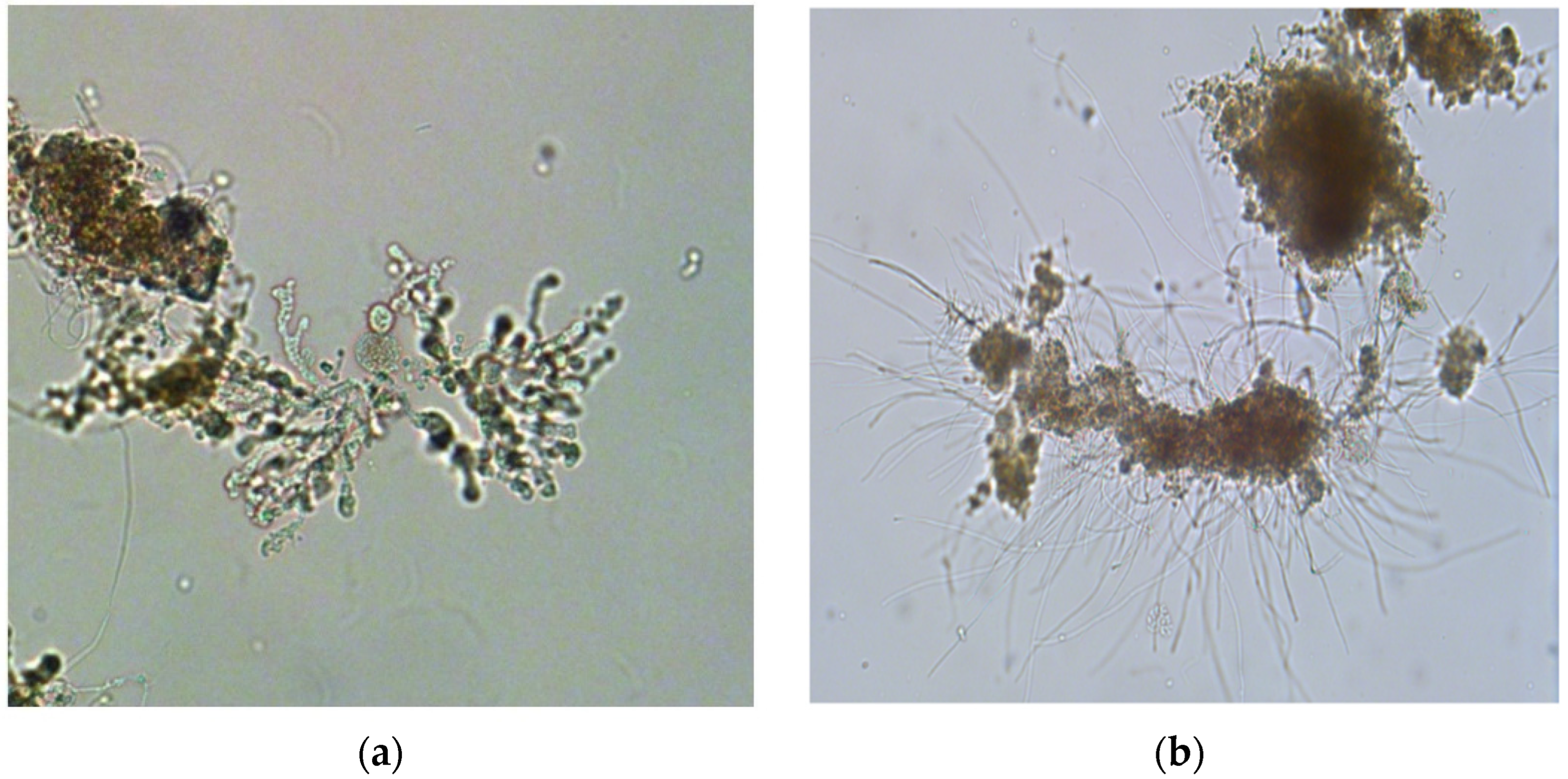 Applsci 12 05754 g002