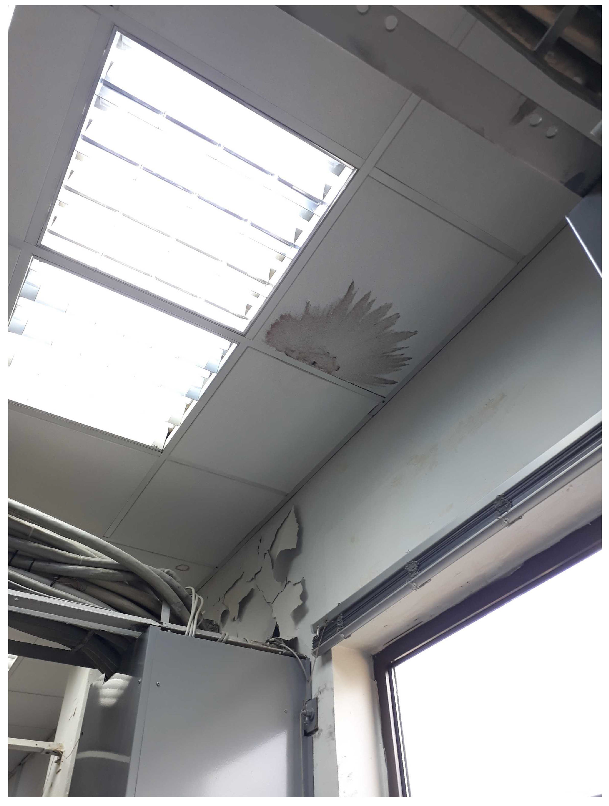 Applsci 12 05781 g001