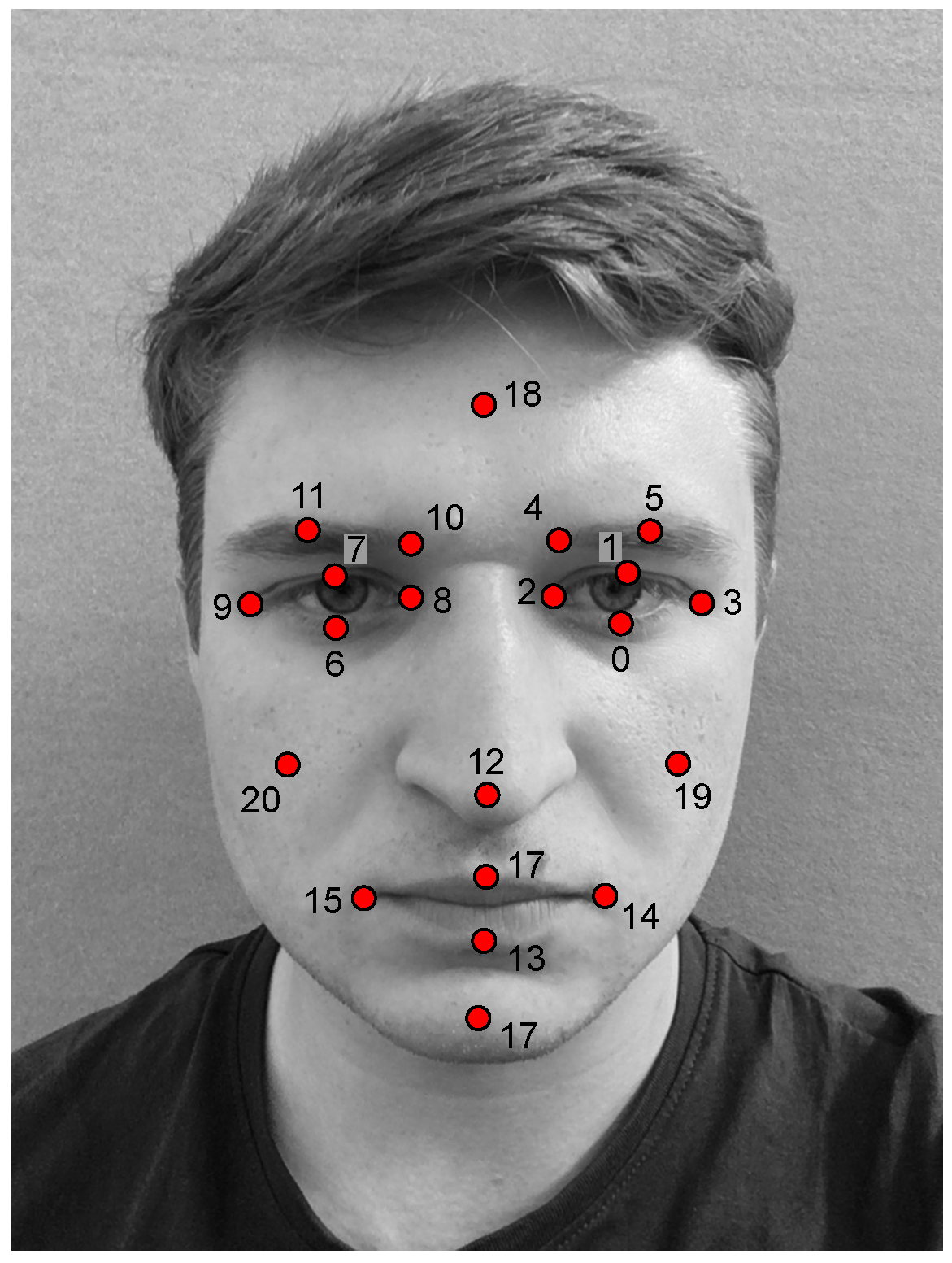 Applsci 12 05902 g002