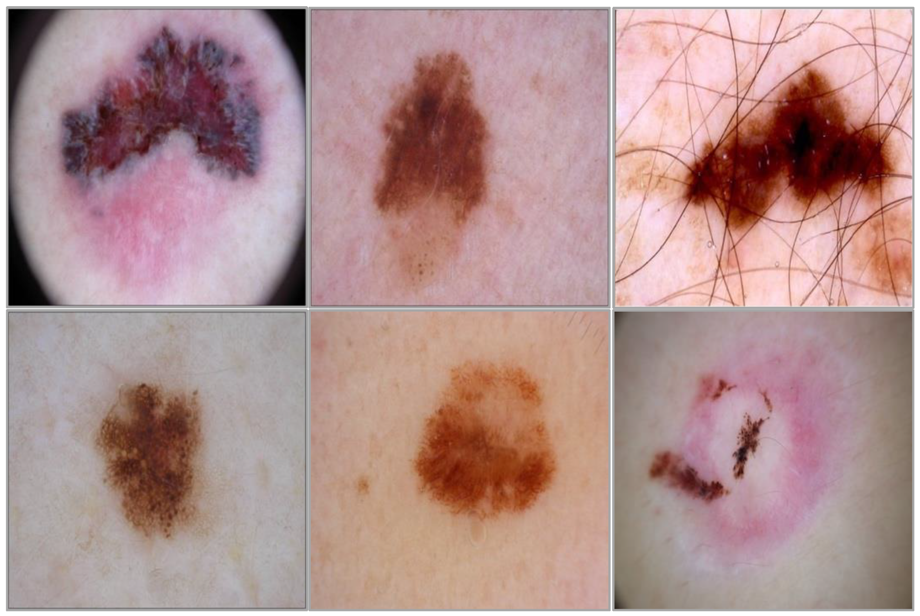 Applsci 12 05990 g007