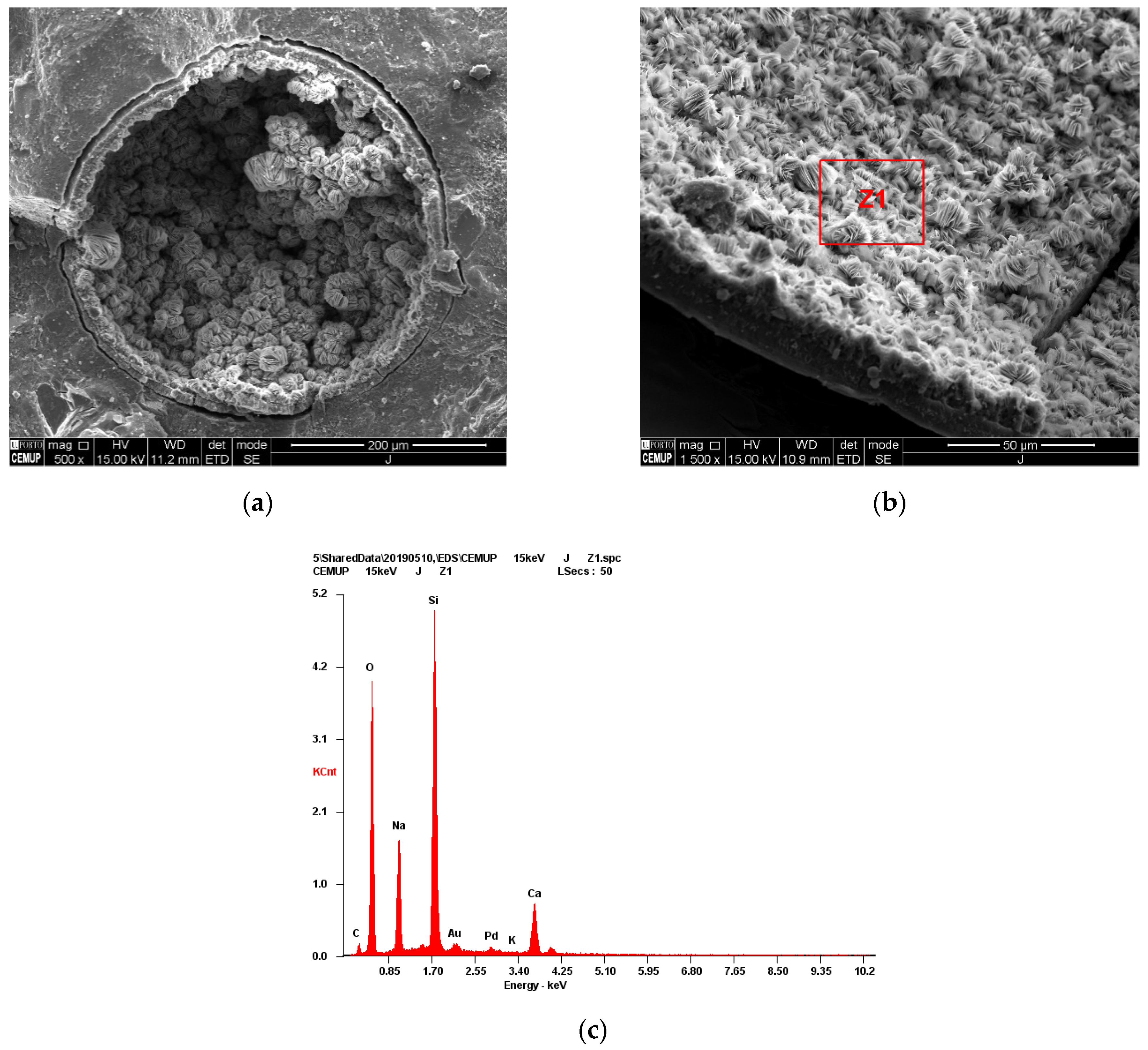 Applsci 12 06252 g008