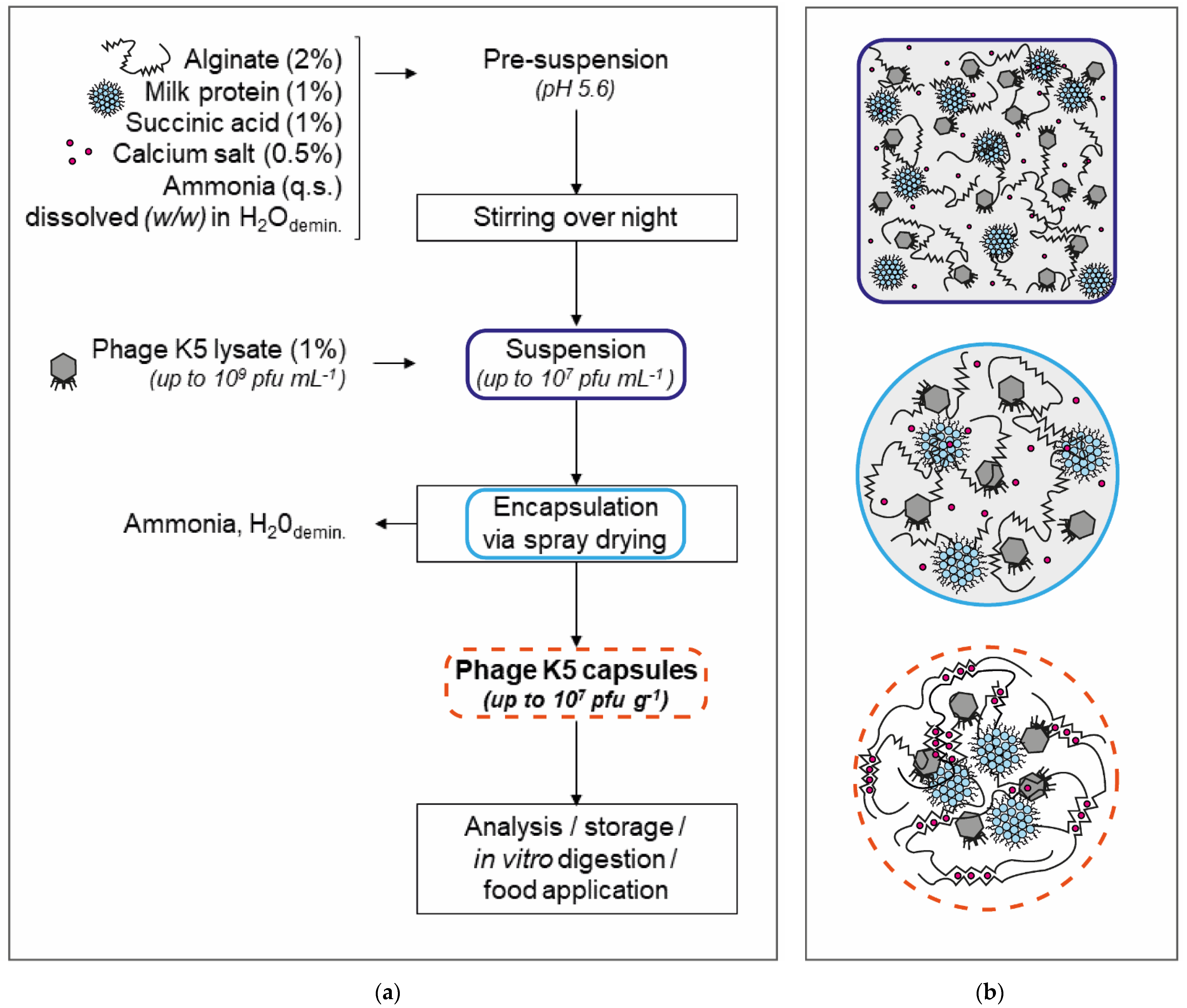 Applsci 12 06299 g001