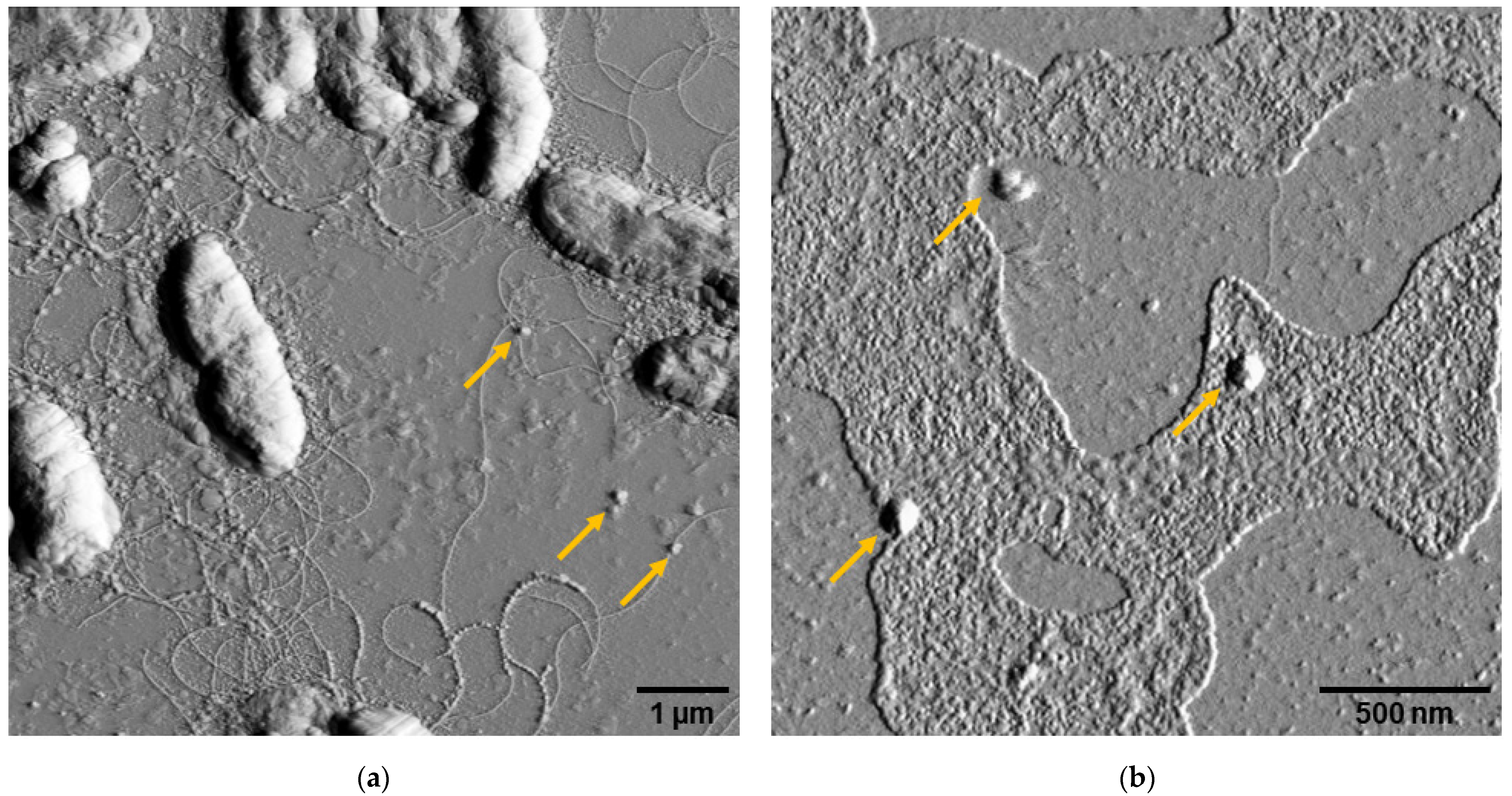 Applsci 12 06299 g002