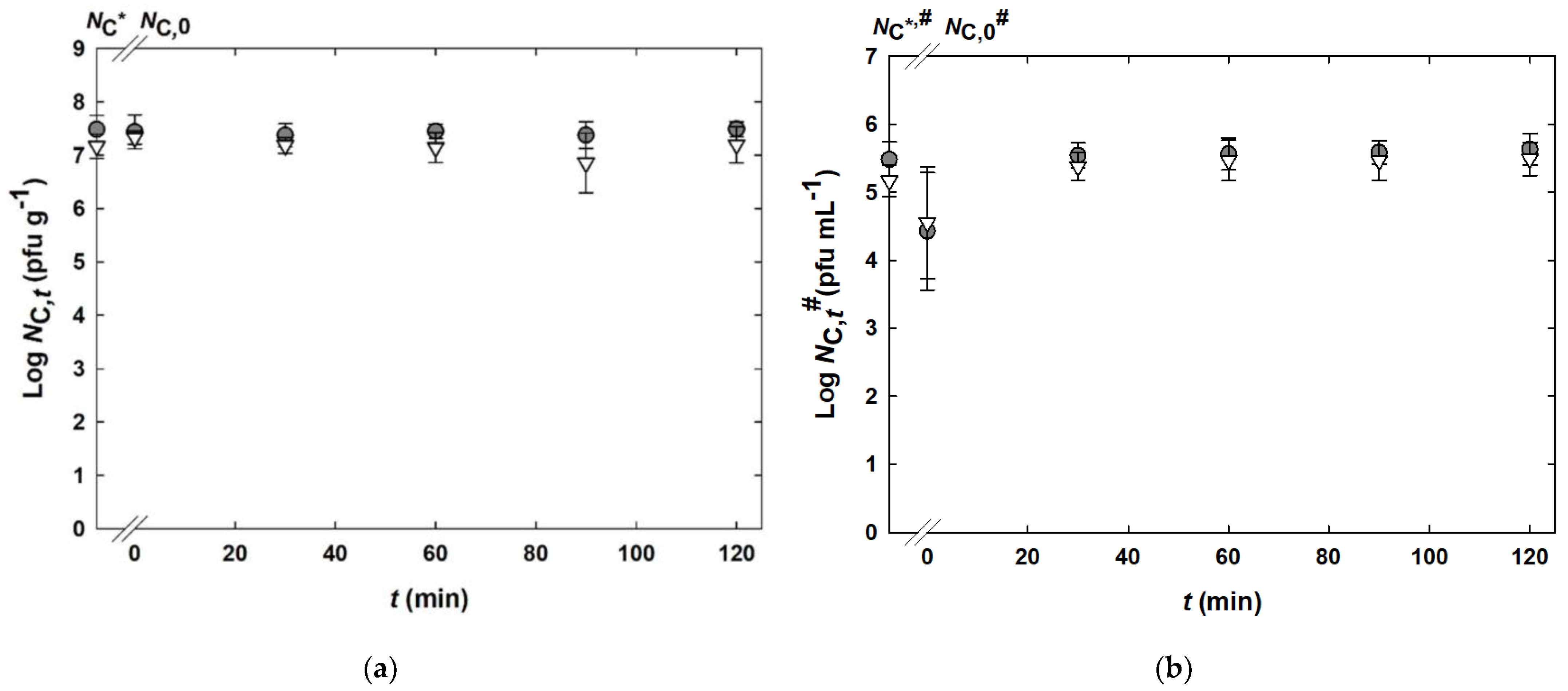 Applsci 12 06299 g006