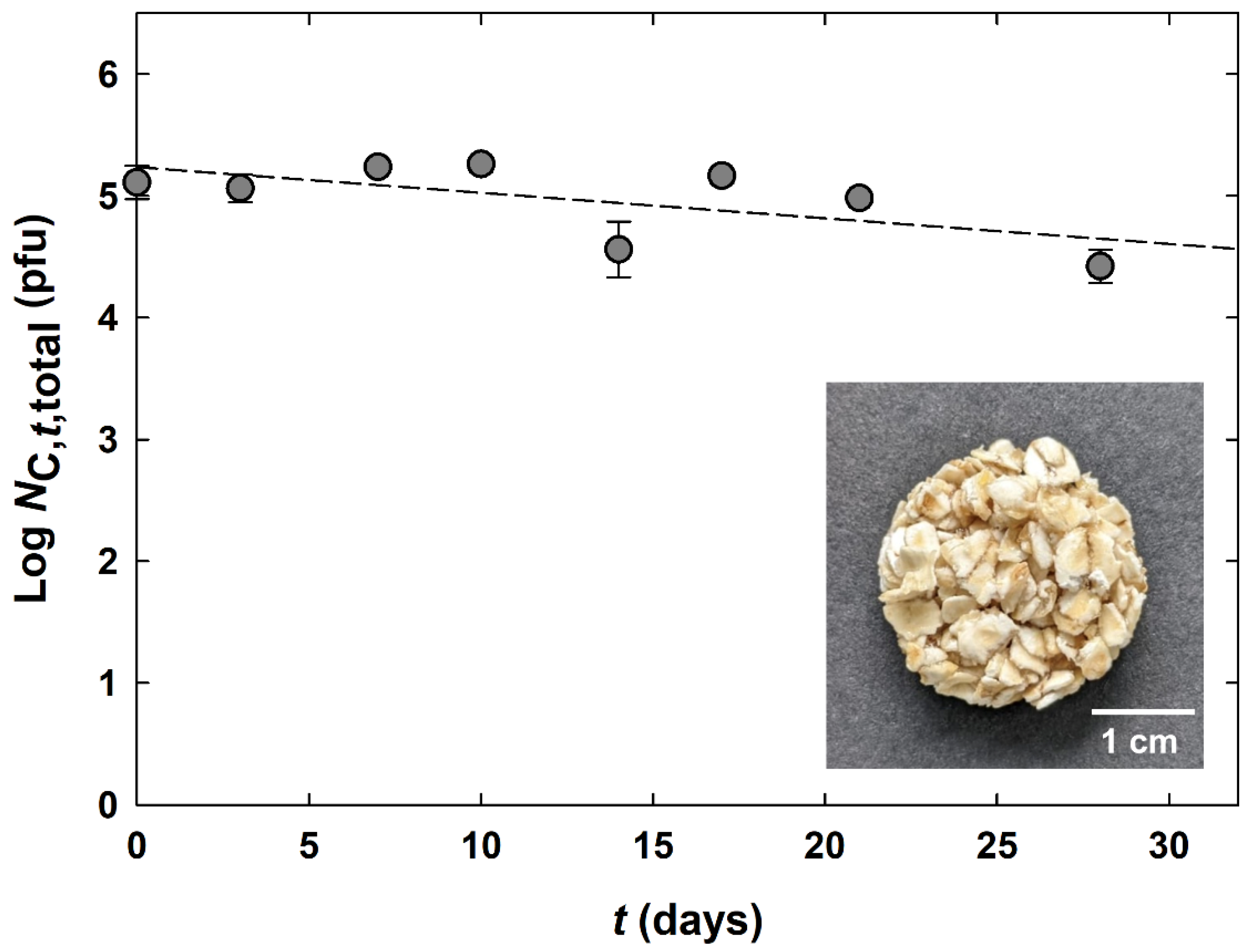 Applsci 12 06299 g007