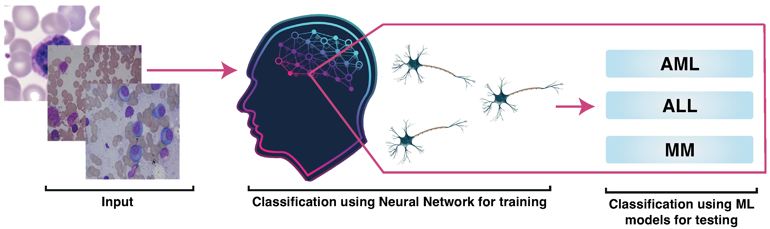 Applsci 12 06317 g001