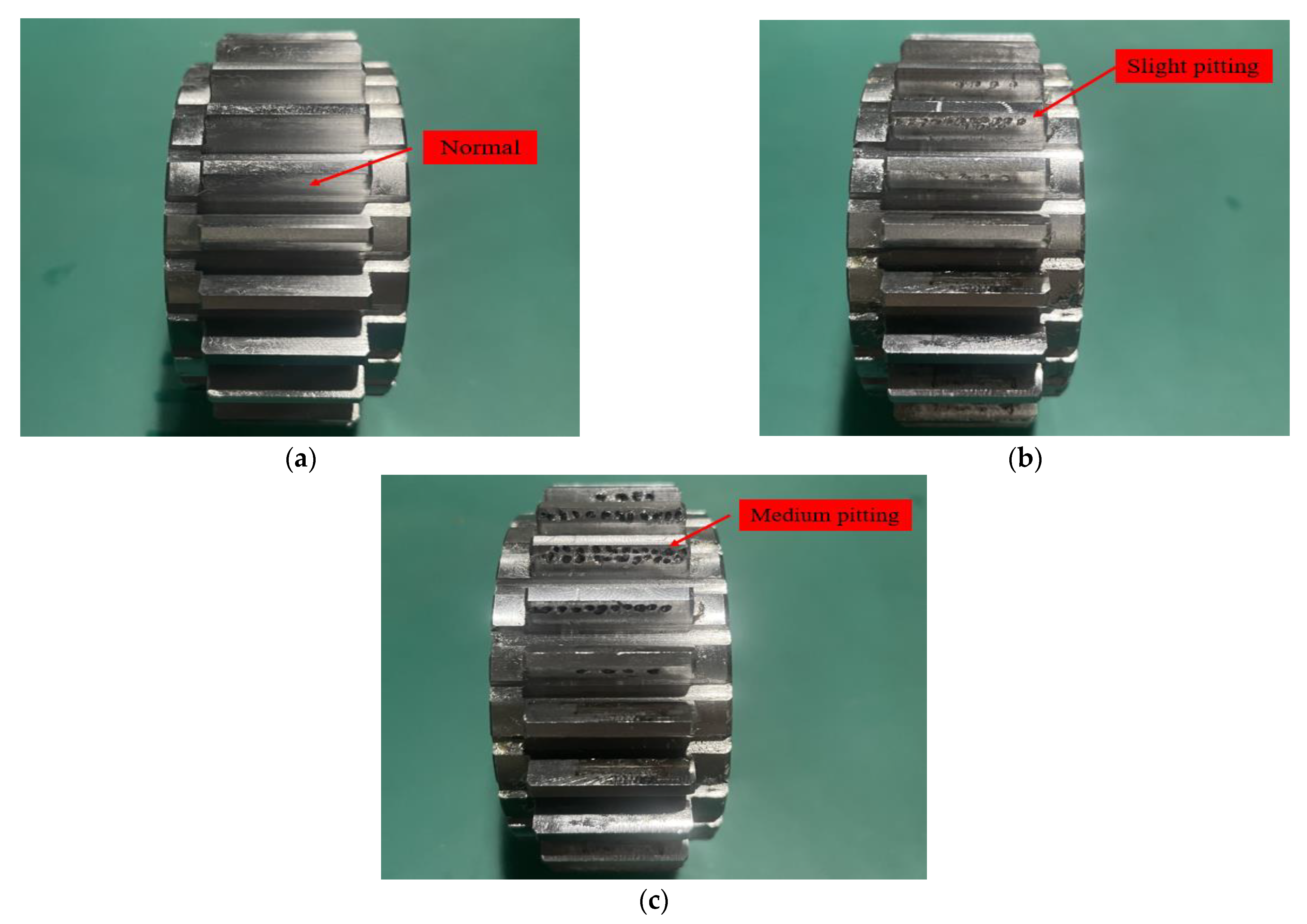 Applsci 12 06323 g012