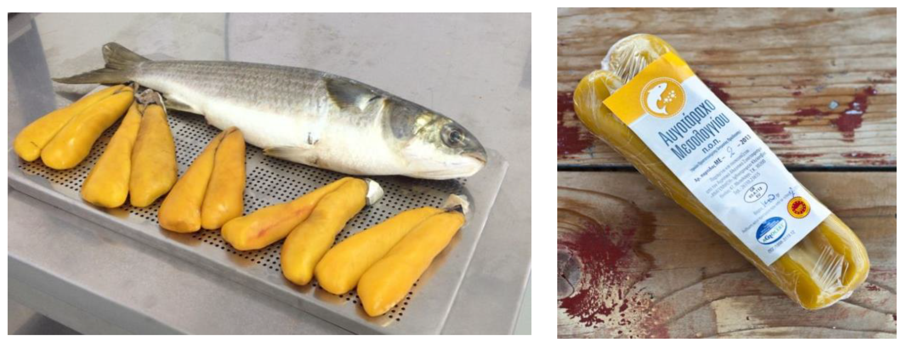 Applsci 12 06335 g001