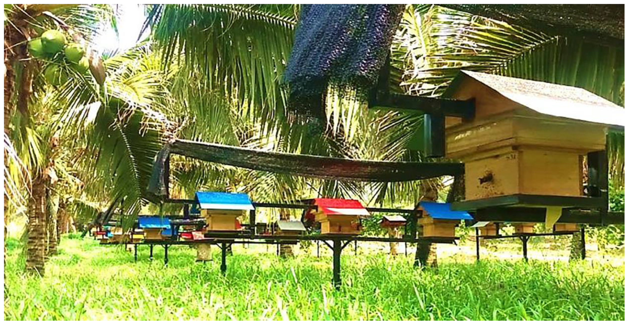 Applsci 12 06370 g001