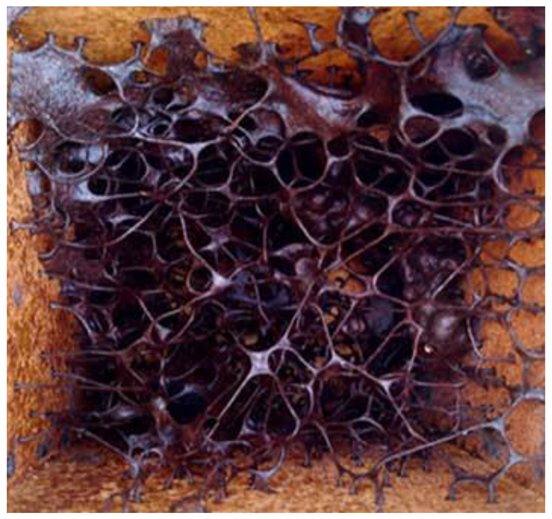 Applsci 12 06370 g003