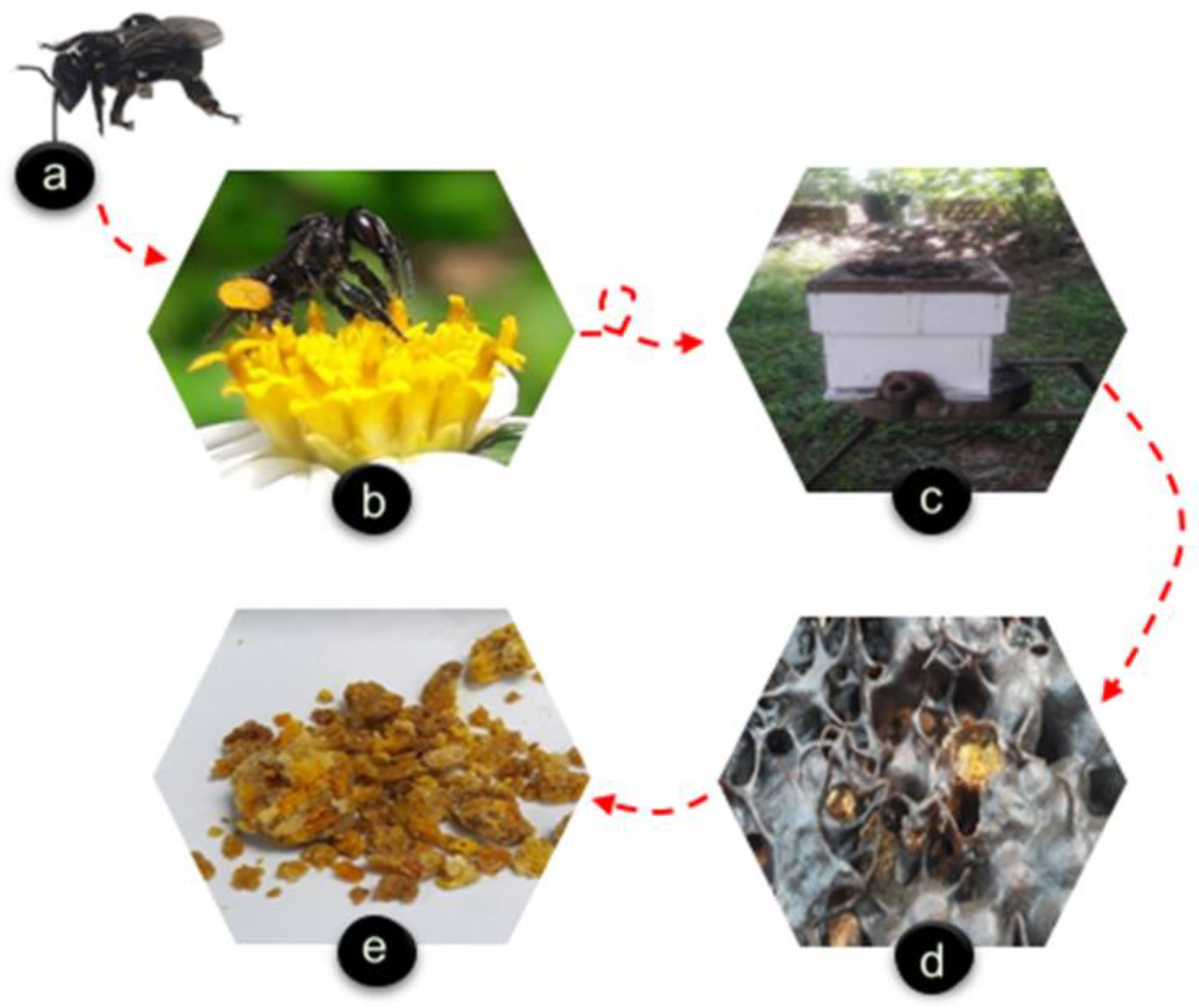 Applsci 12 06370 g004