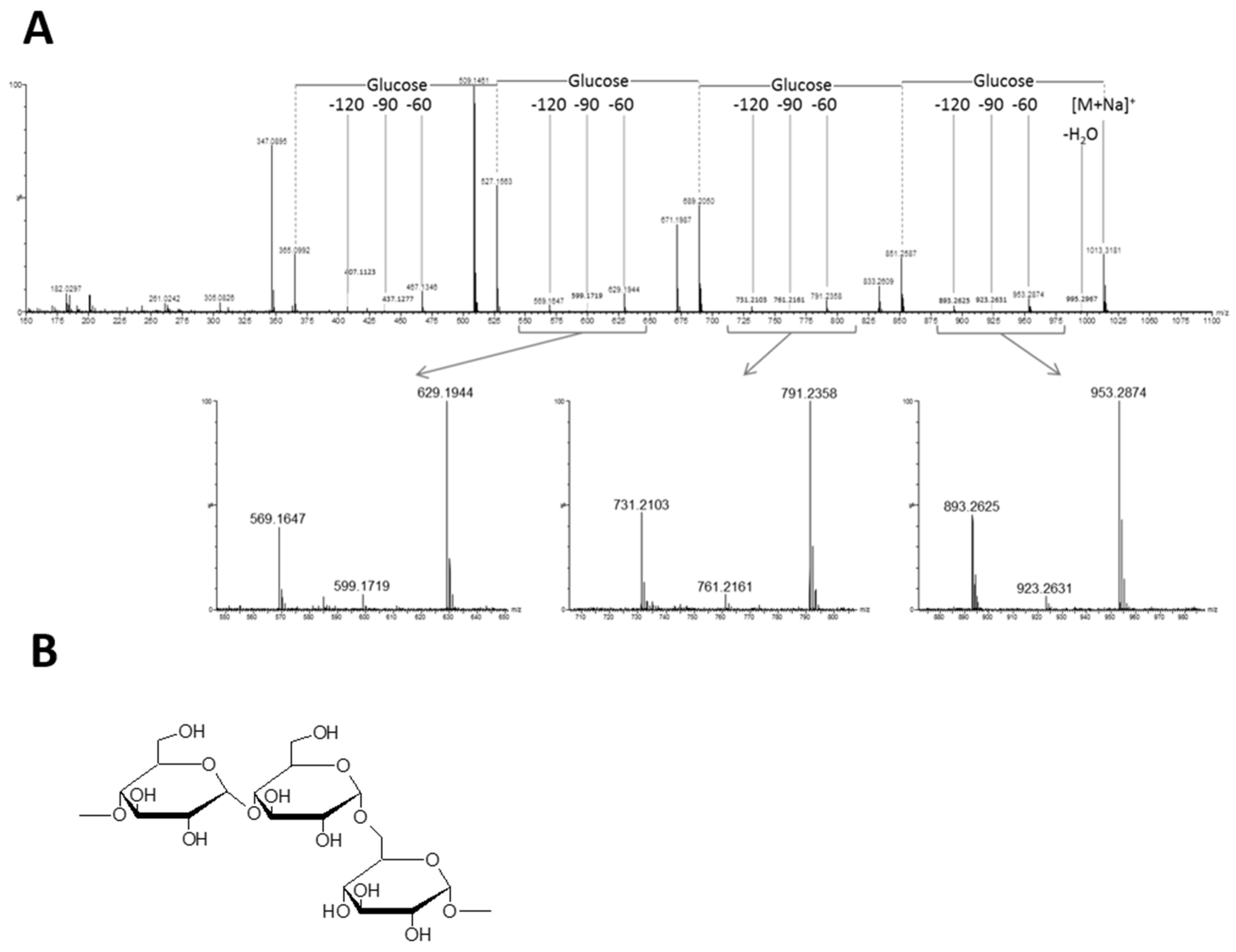 Applsci 12 06404 g001