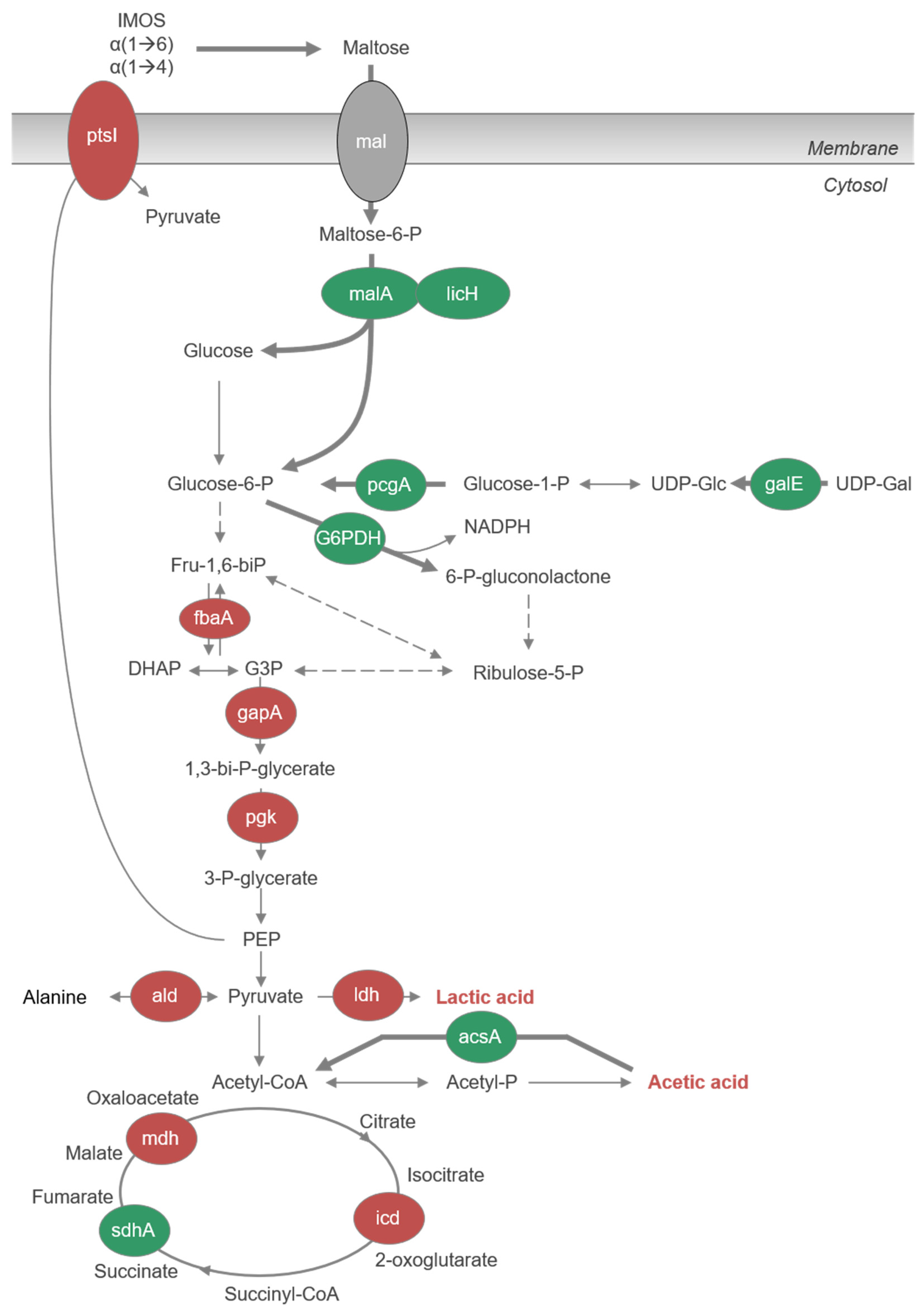 Applsci 12 06404 g003