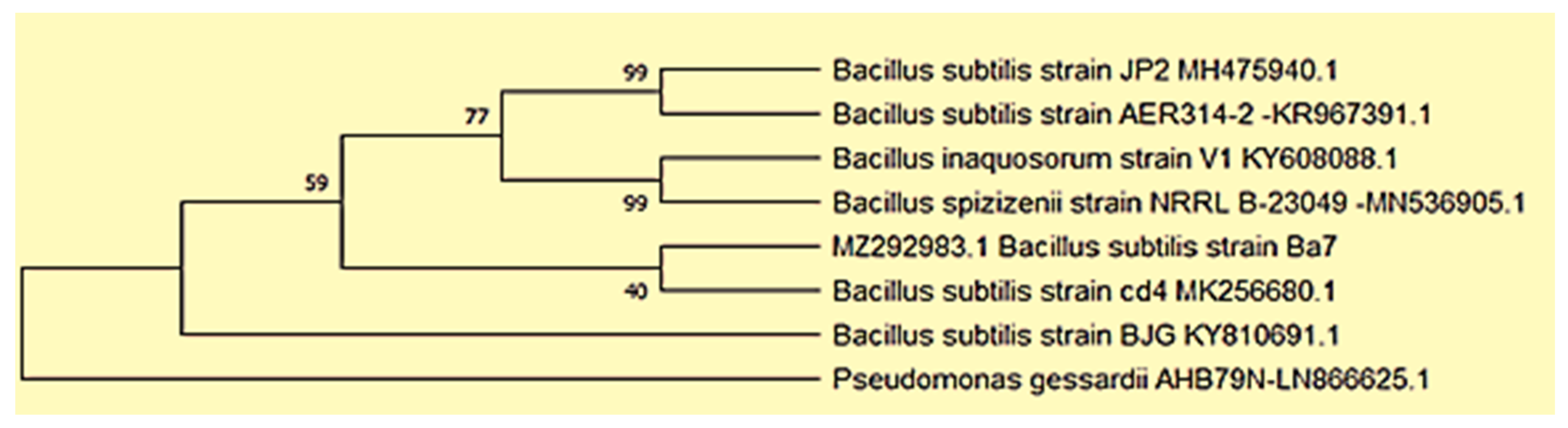 Applsci 12 06413 g001 Applsci 12 06413 g001