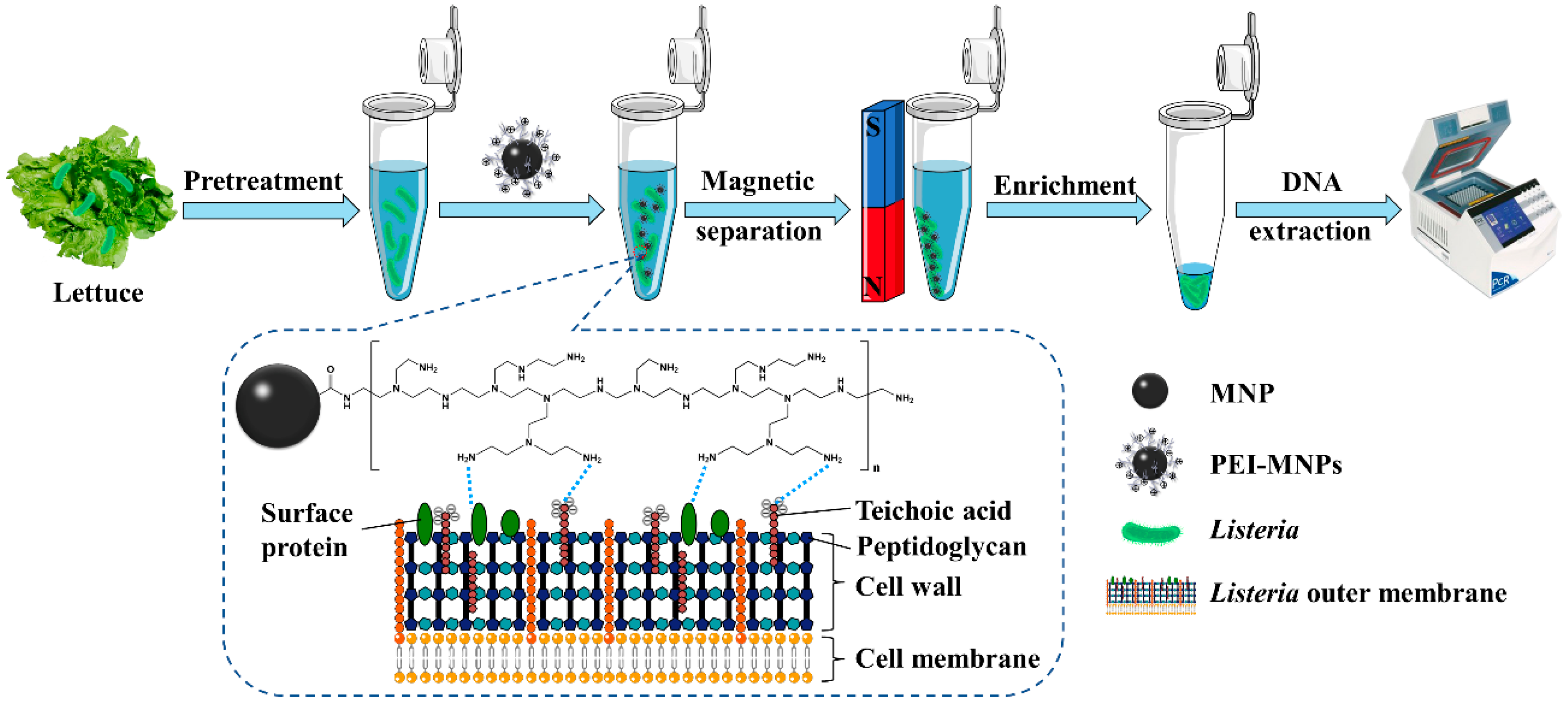 Applsci 12 06415 g001