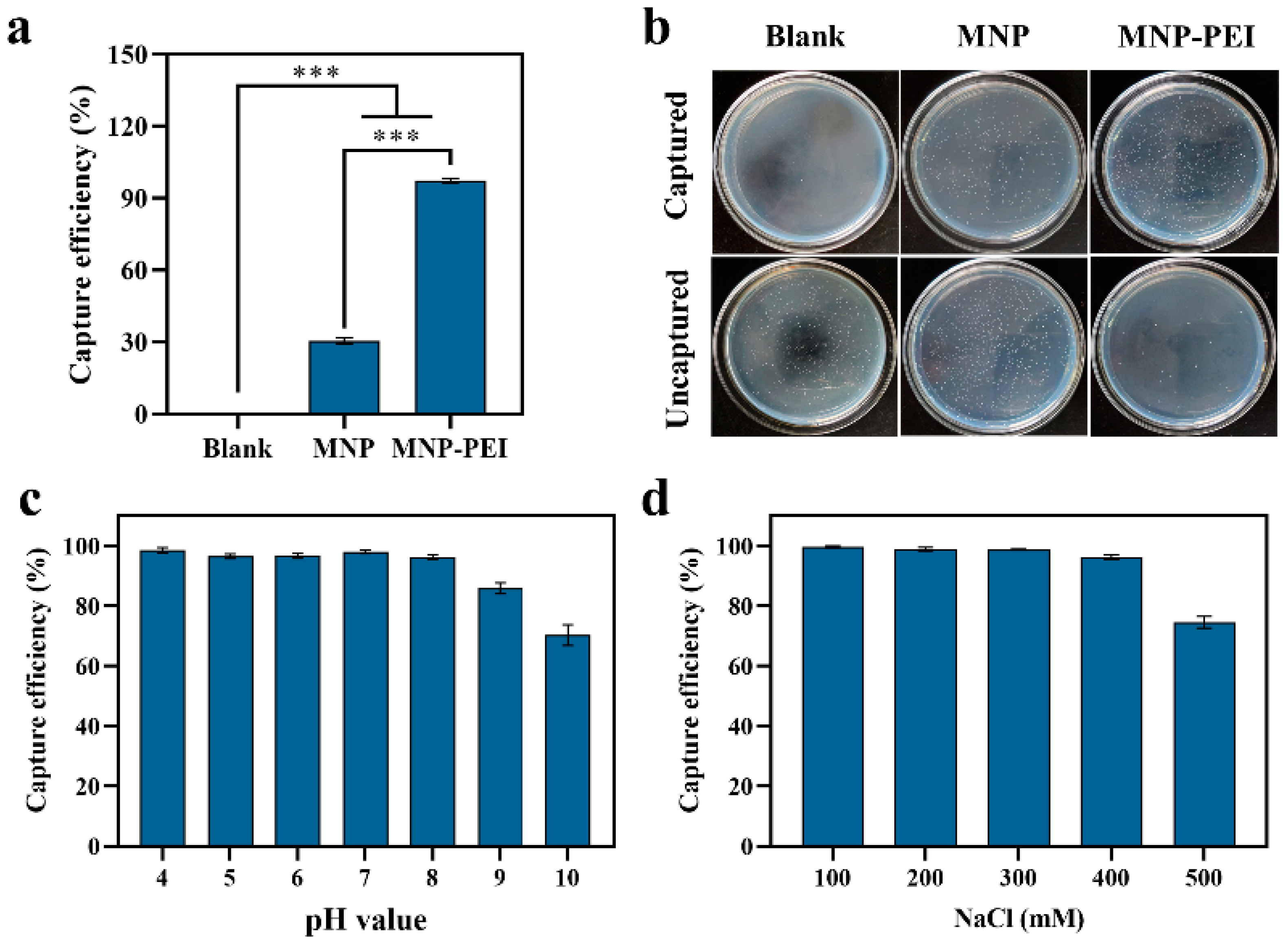 Applsci 12 06415 g003