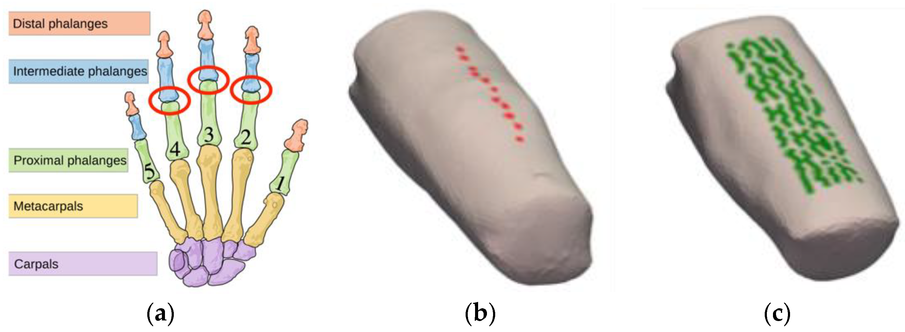 Applsci 12 06418 g001