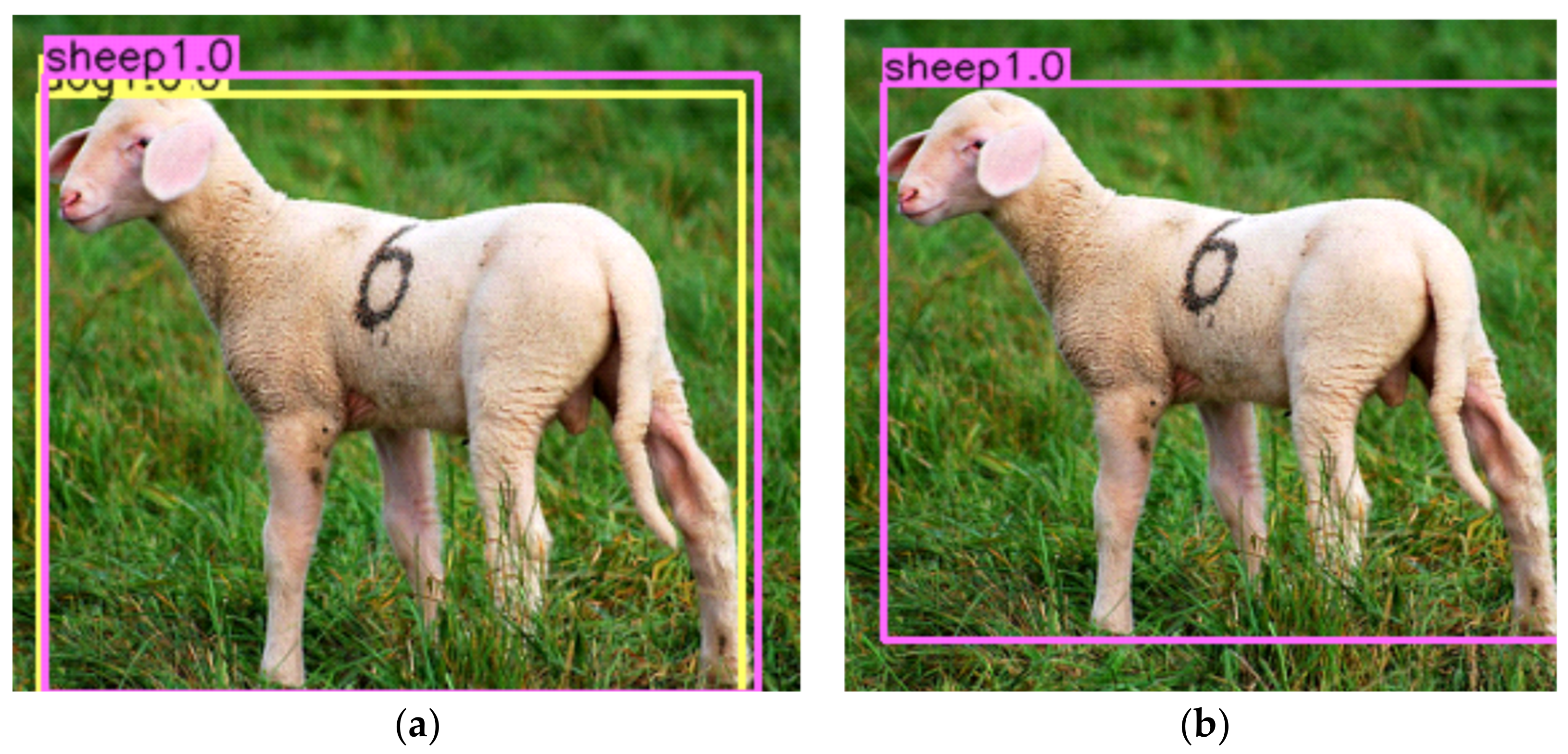 Applsci 12 06419 g005