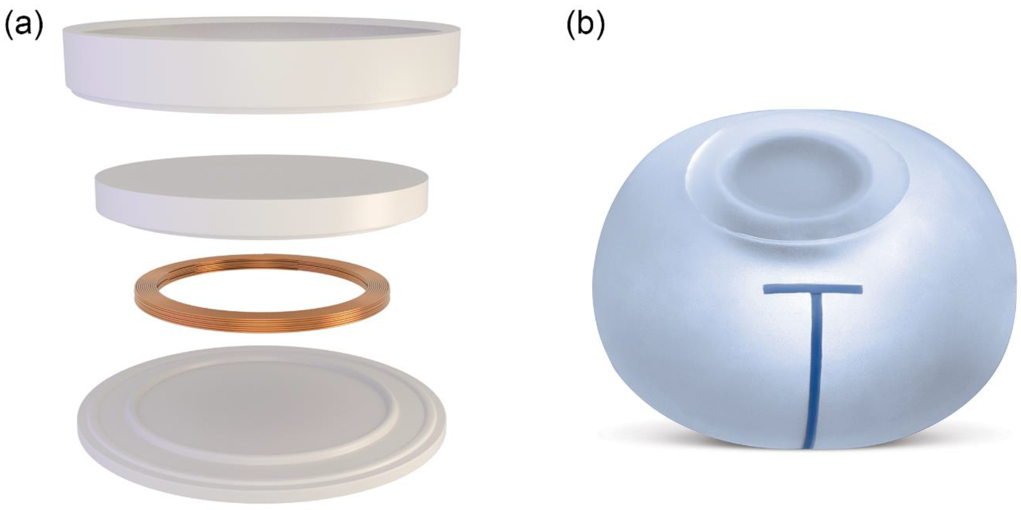 Applsci 12 06461 g001