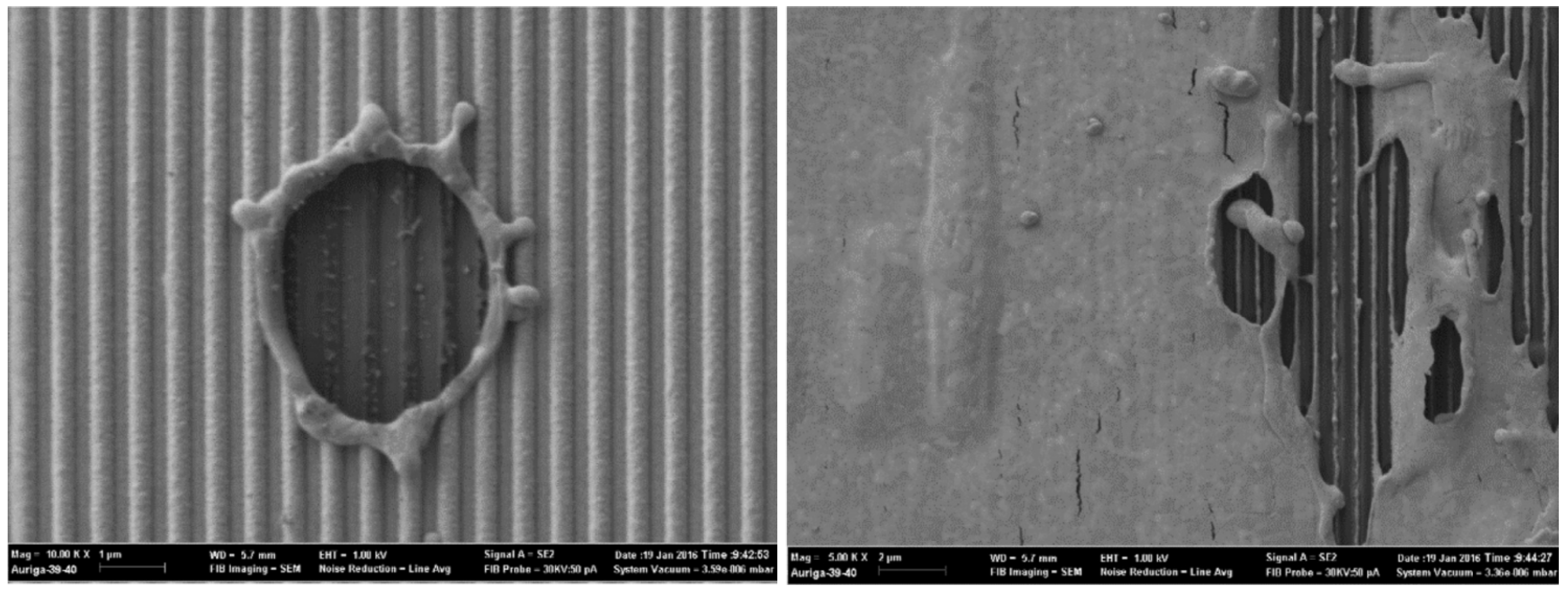 Applsci 12 06503 g004