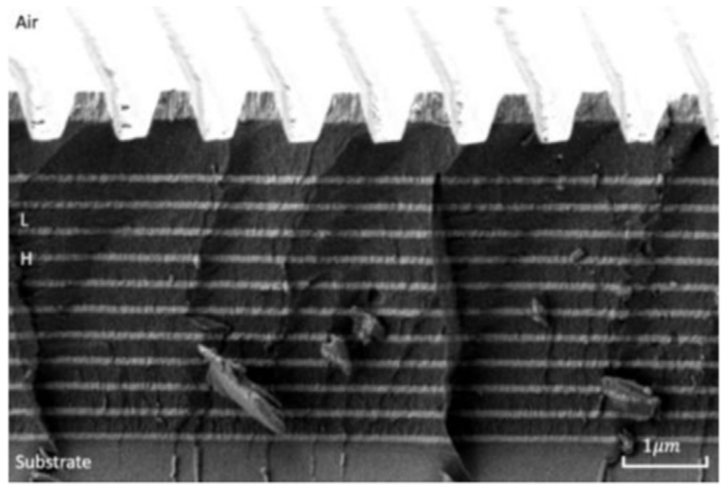 Applsci 12 06503 g019