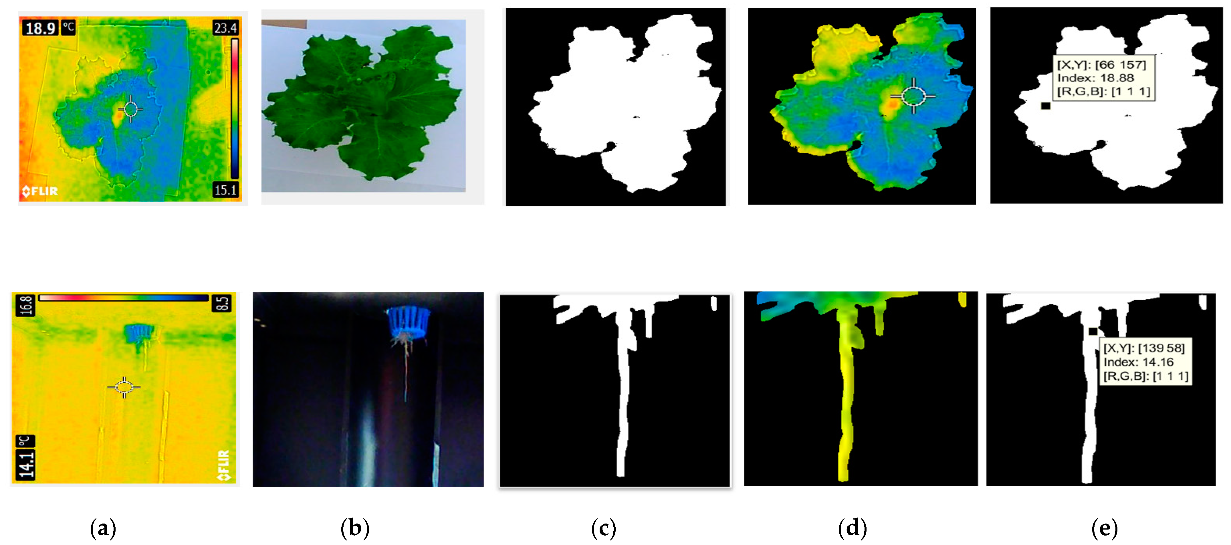 Applsci 12 06540 g006