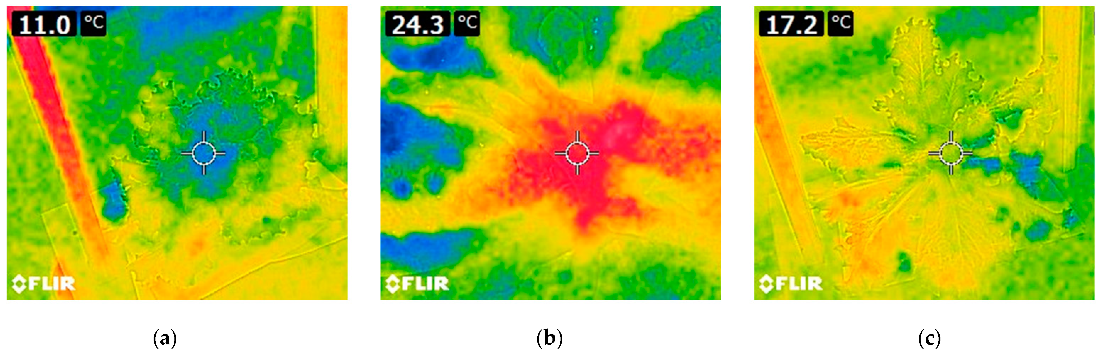 Applsci 12 06540 g012