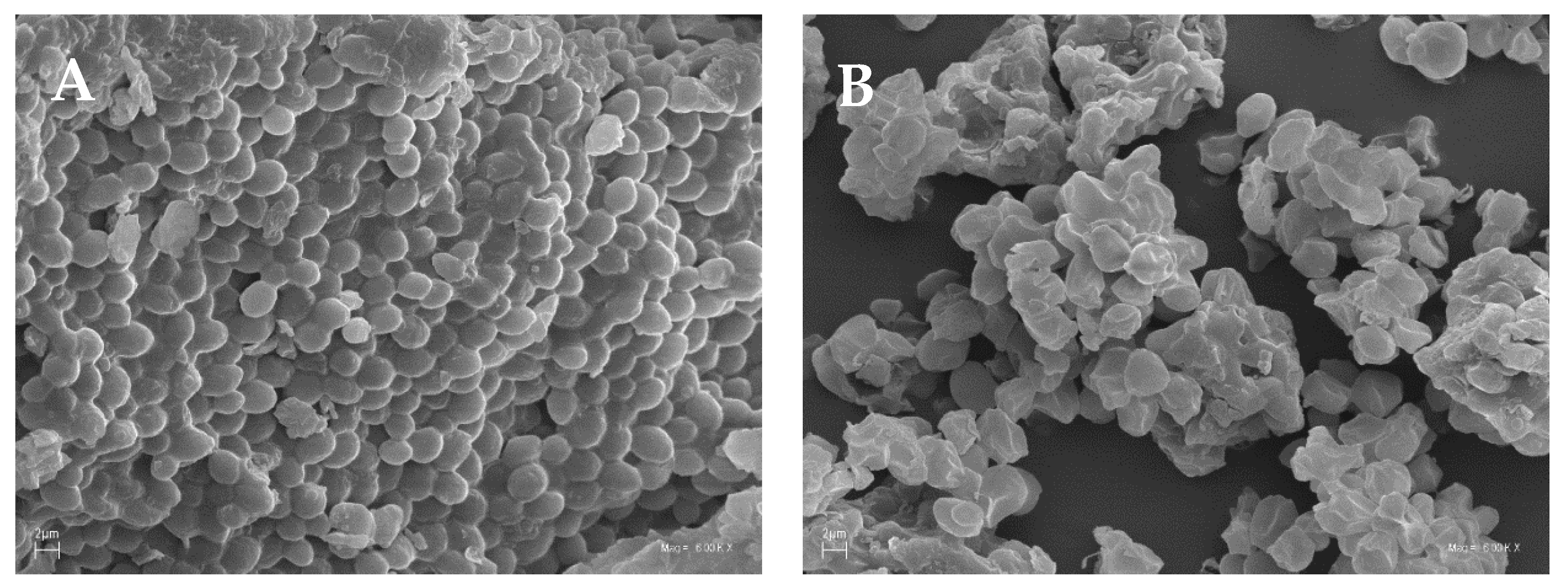 Applsci 12 06577 g002a