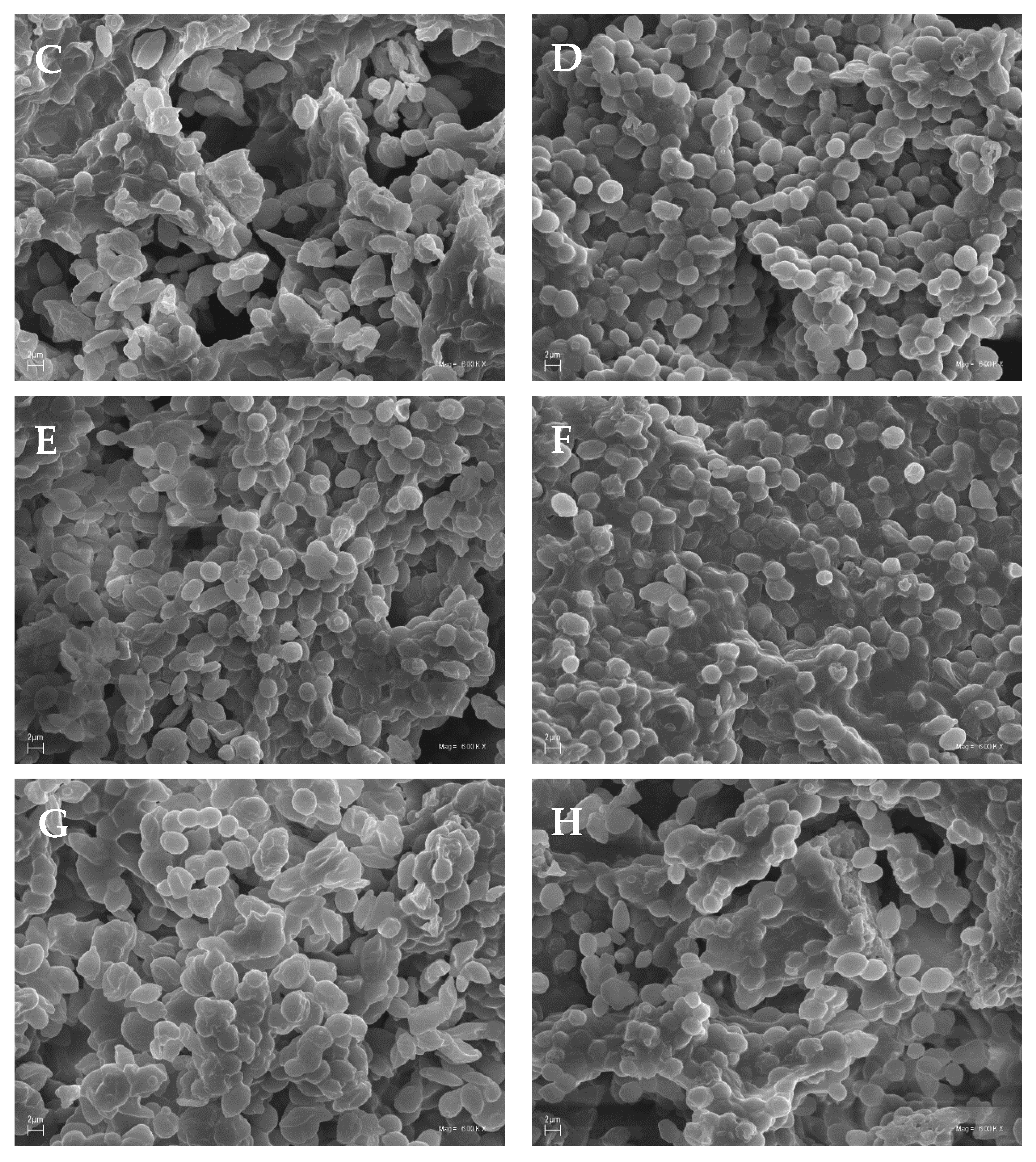 Applsci 12 06577 g002b