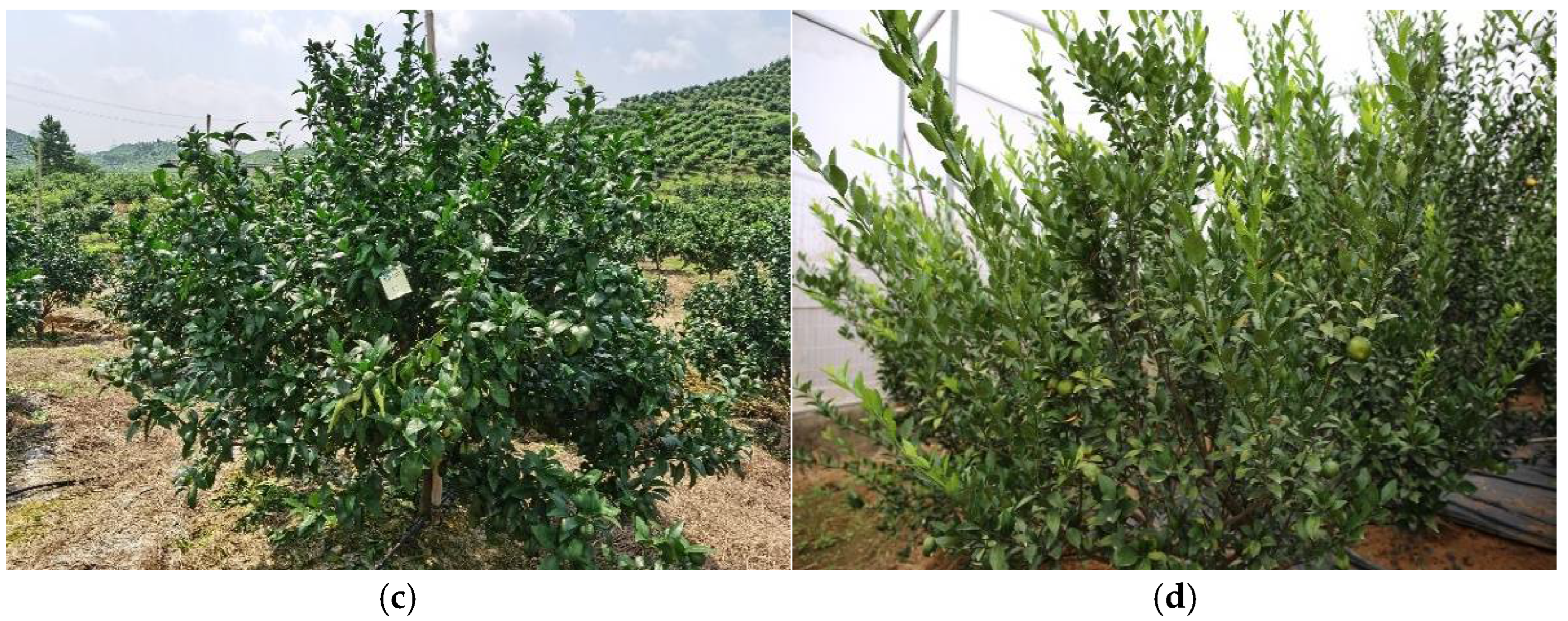 Applsci 12 06600 g001b Applsci 12 06600 g001b