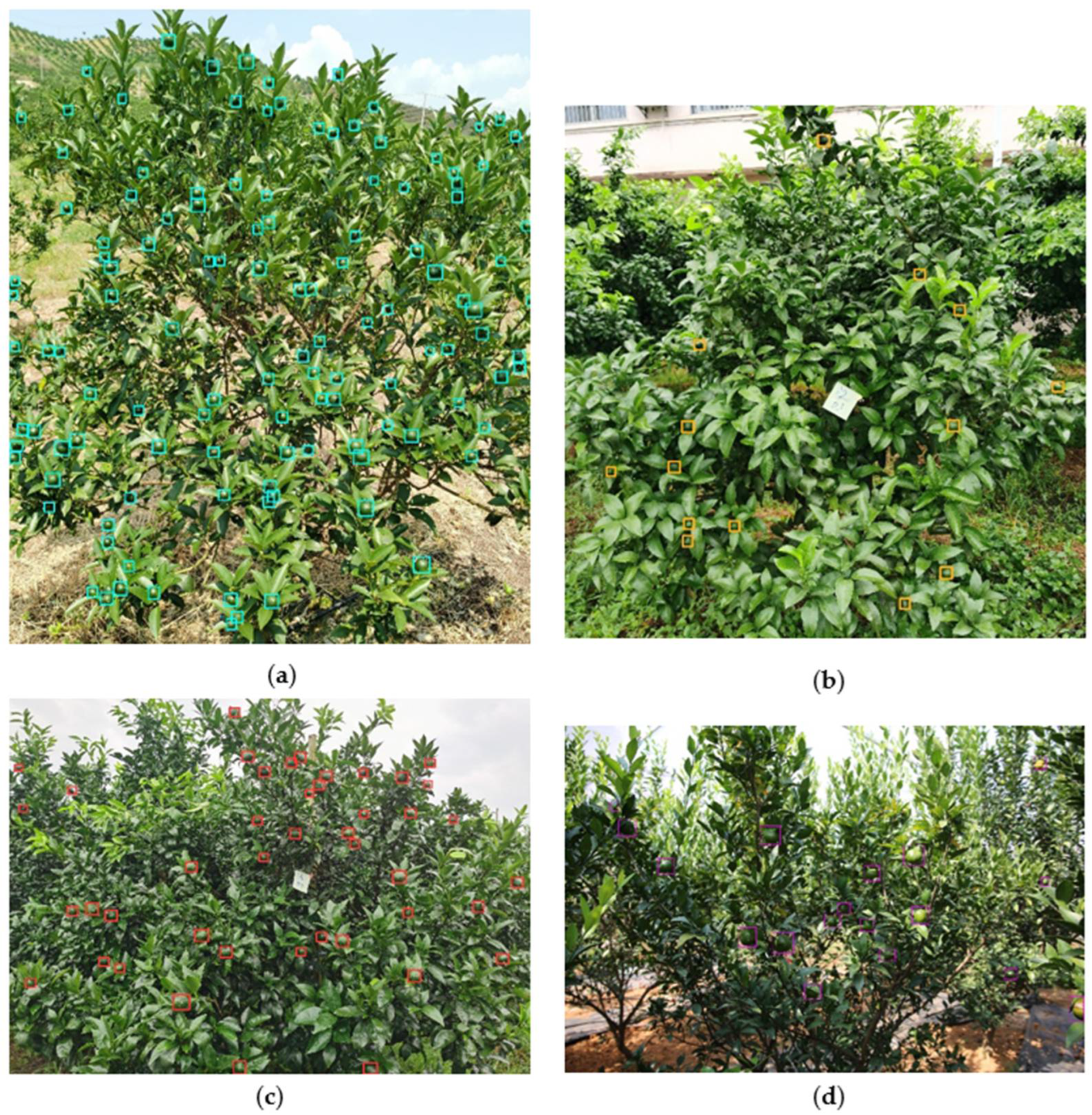 Applsci 12 06600 g012 Applsci 12 06600 g012
