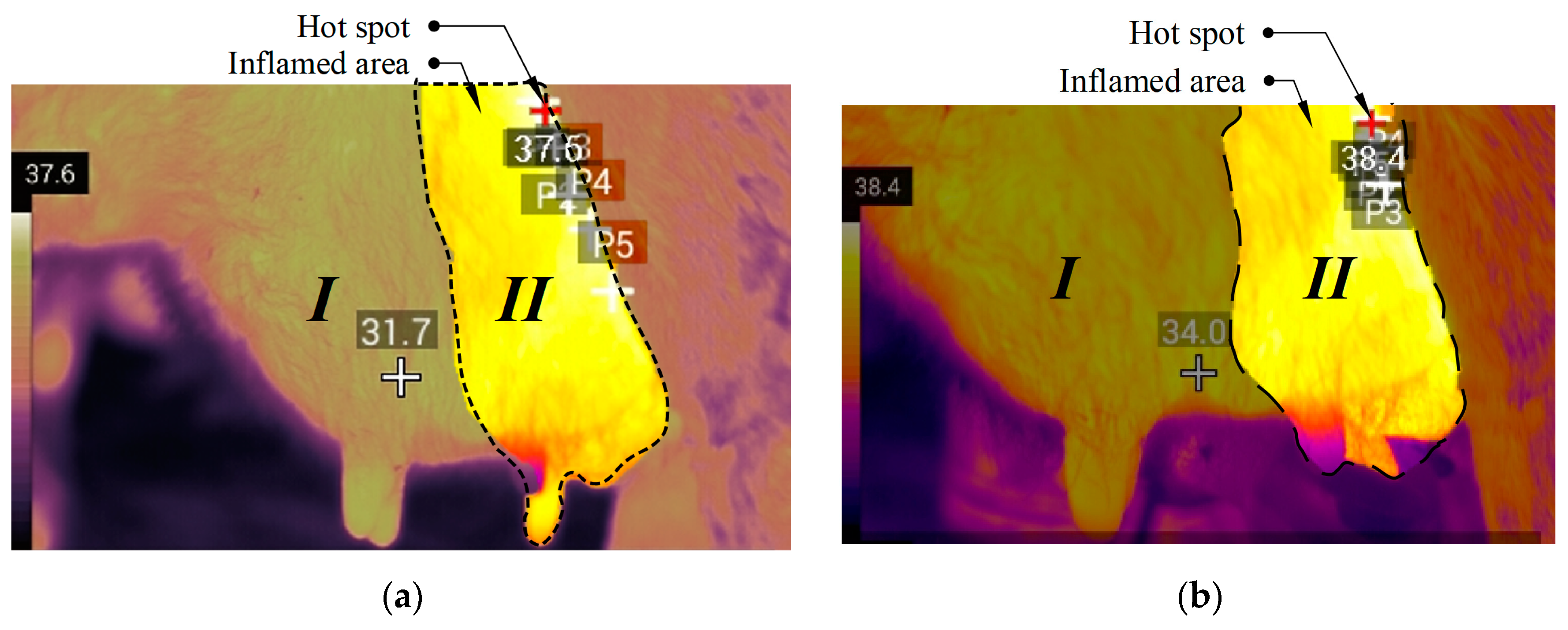 Applsci 12 06621 g007