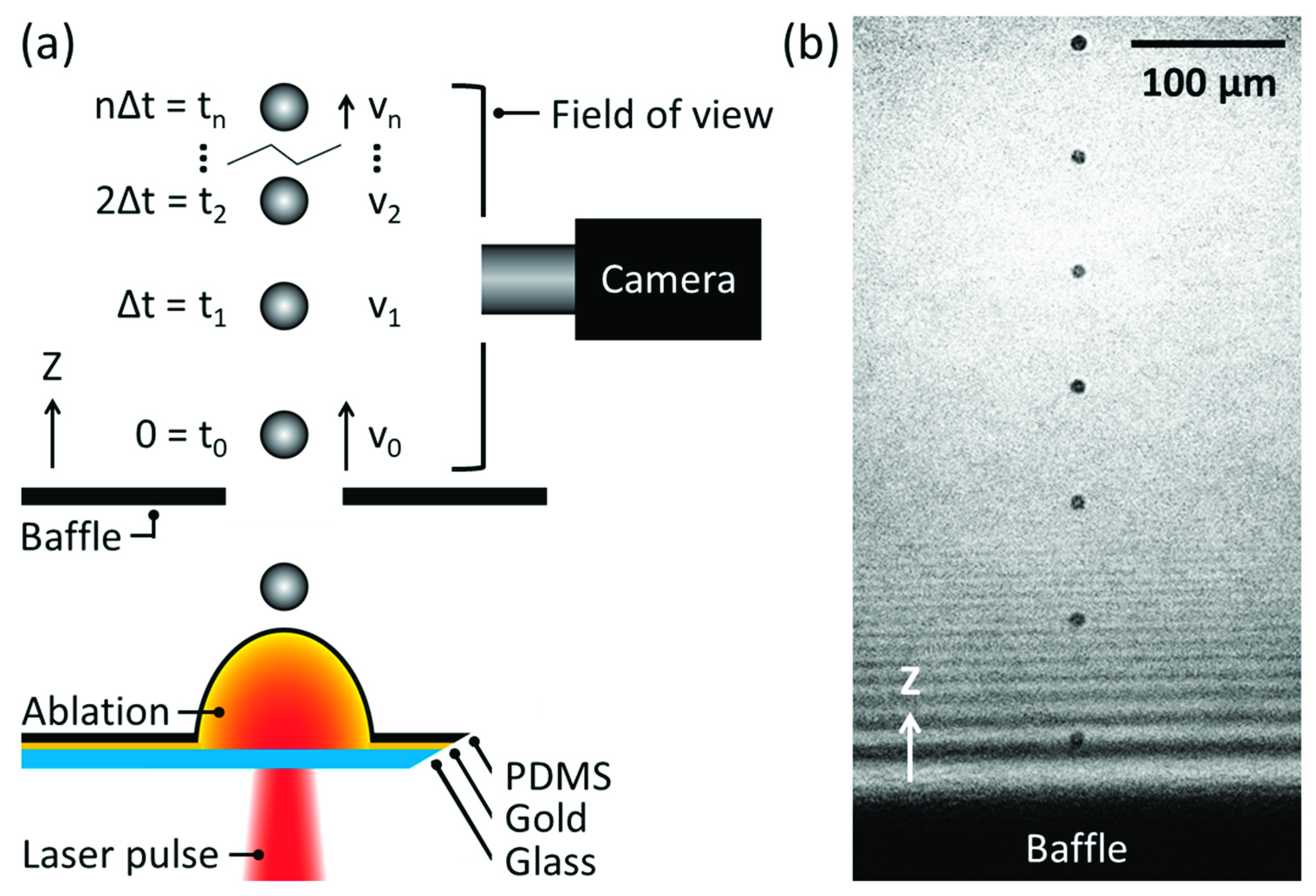 Applsci 12 06622 g001