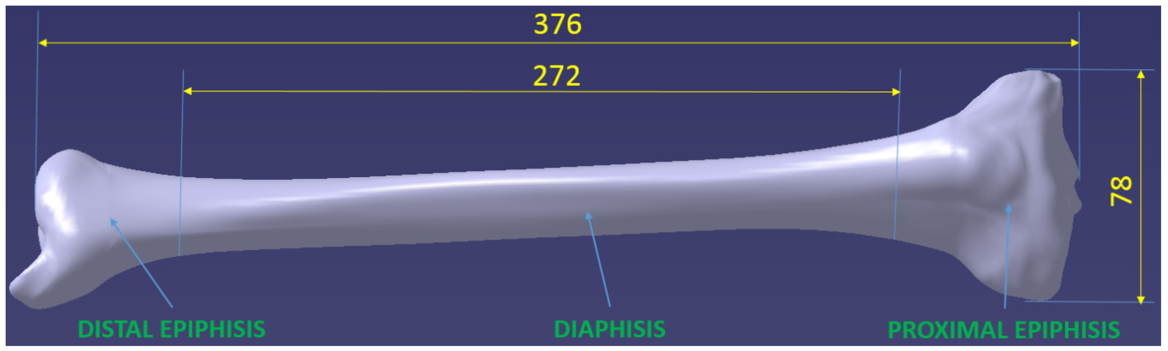 Applsci 12 06636 g001