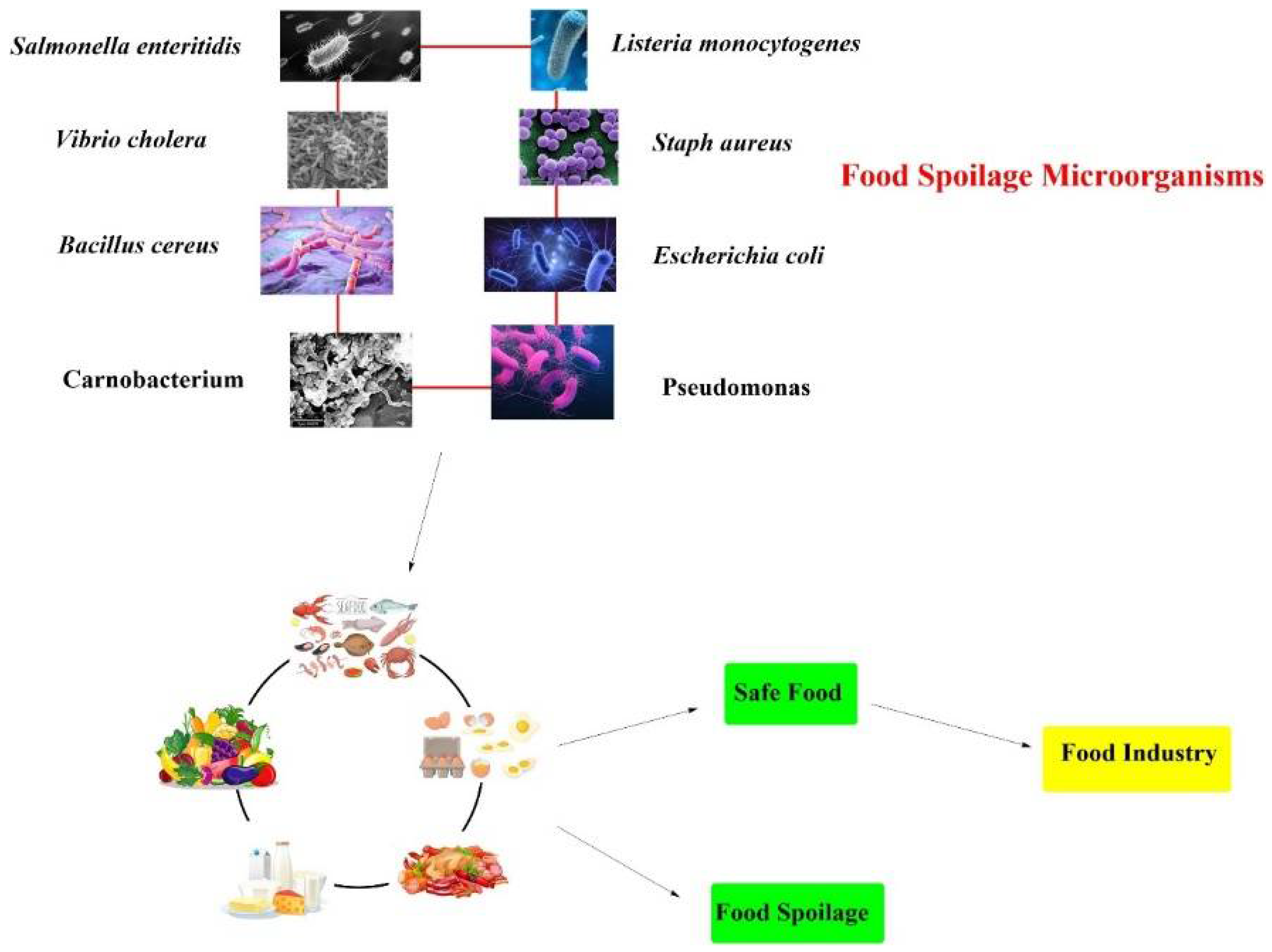 Applsci 12 06639 g003