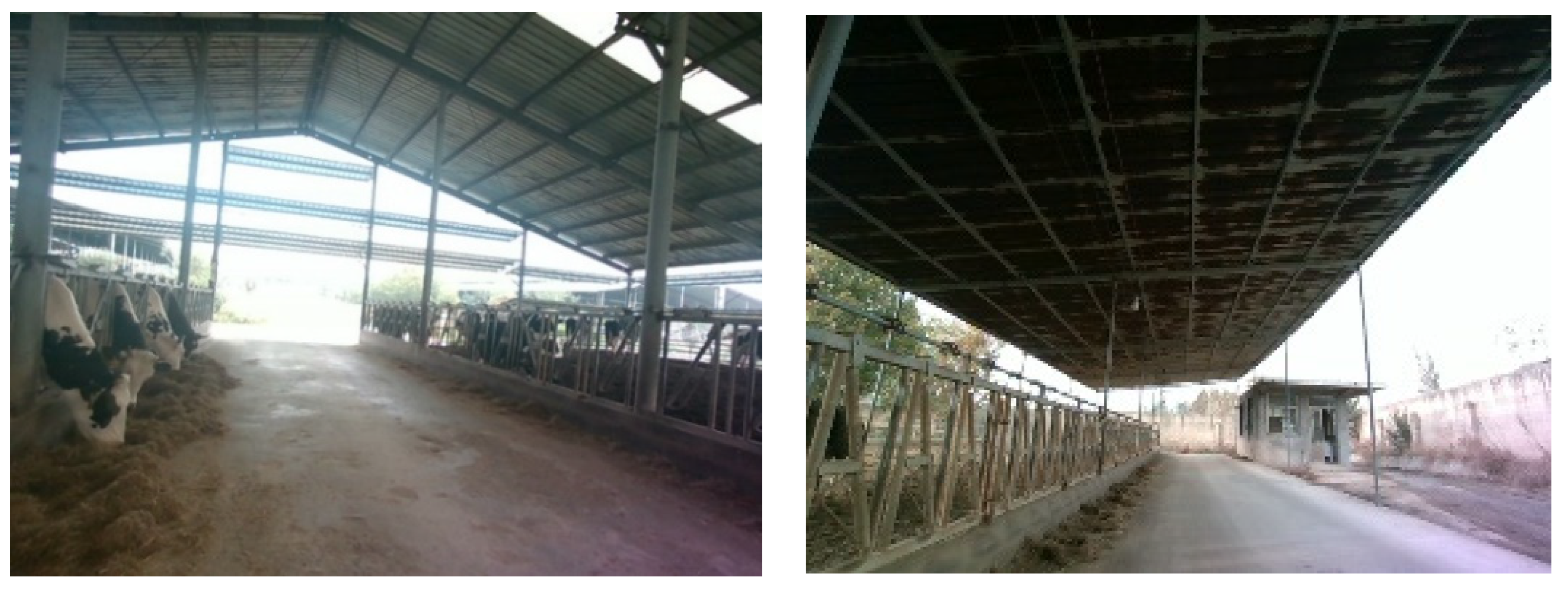 Applsci 12 06641 g009