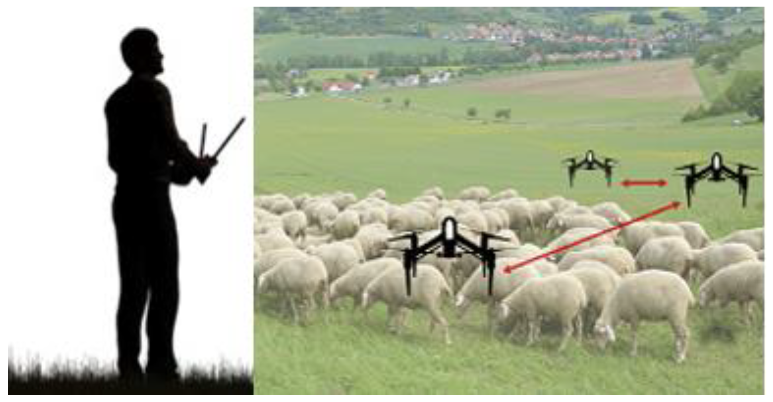 Applsci 12 06654 g001