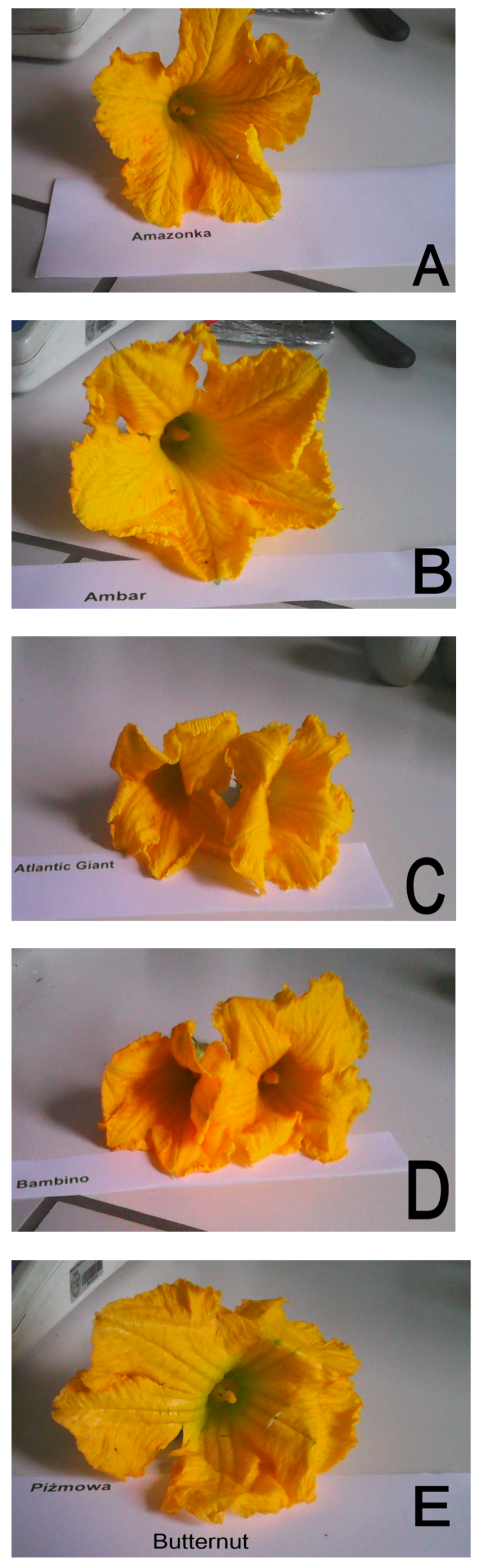 Applsci 12 06673 g001a