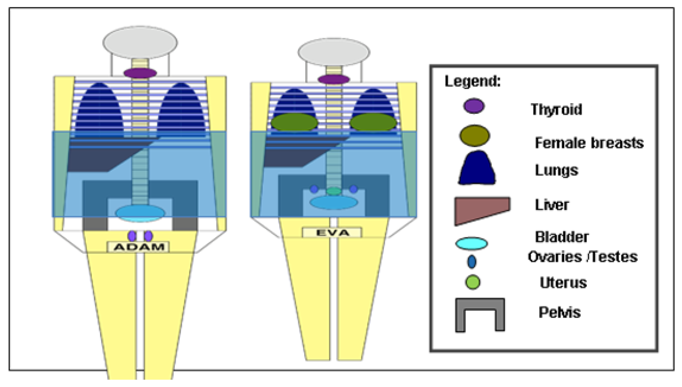 Applsci 12 06691 g001